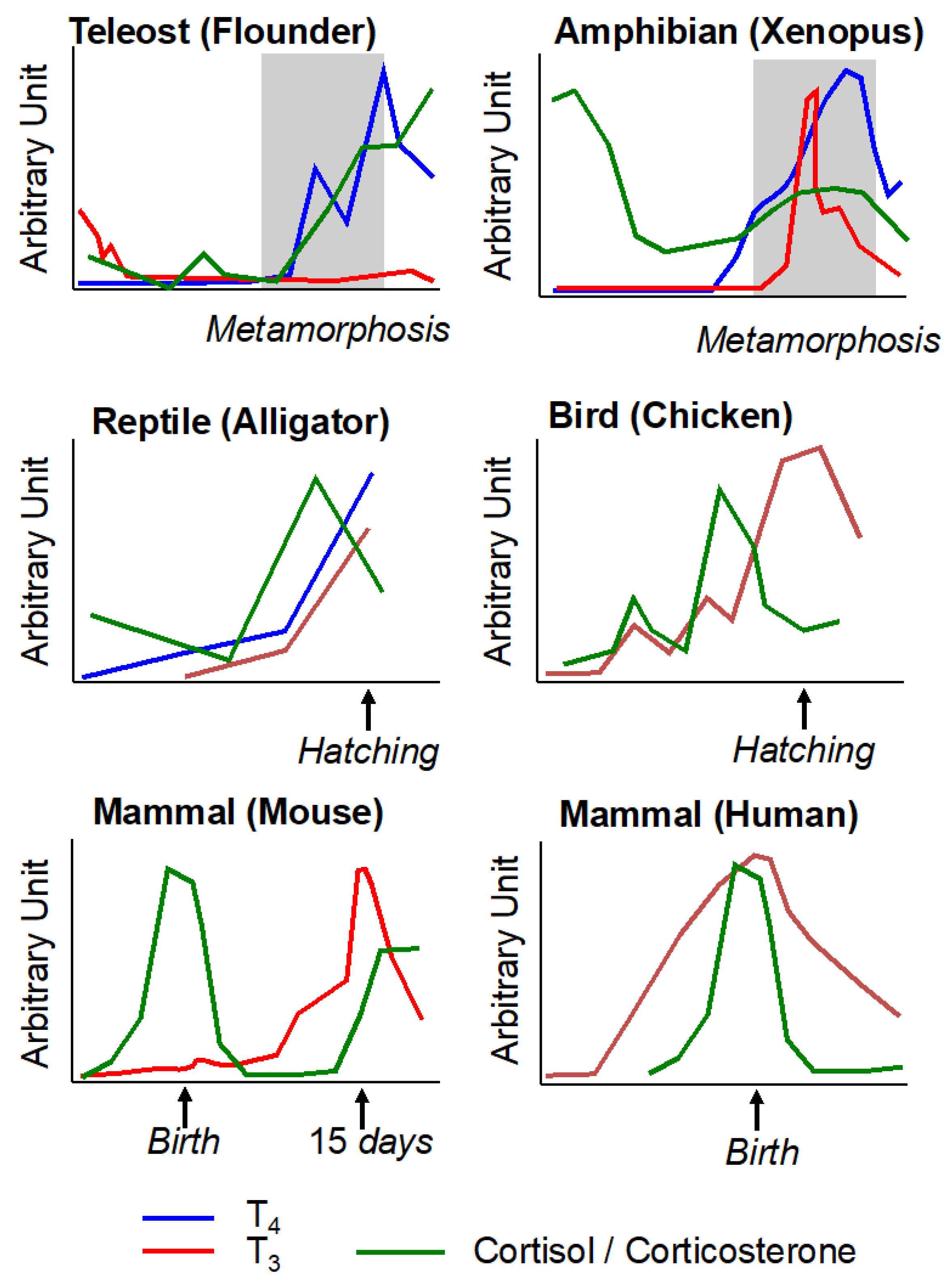 Cells 11 01595 g005 Cells 11 01595 g005