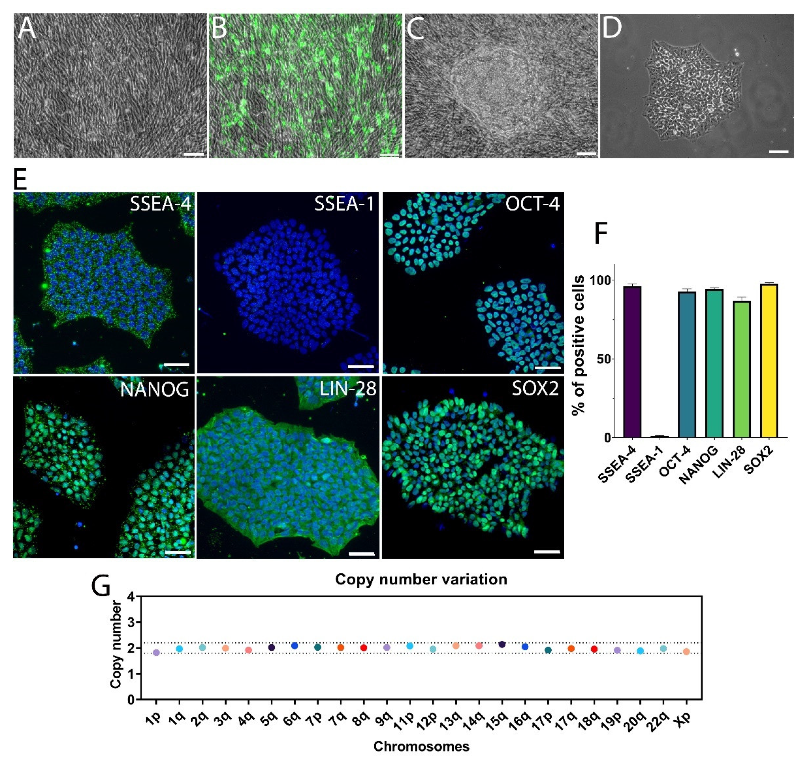 Cells 11 01596 g001