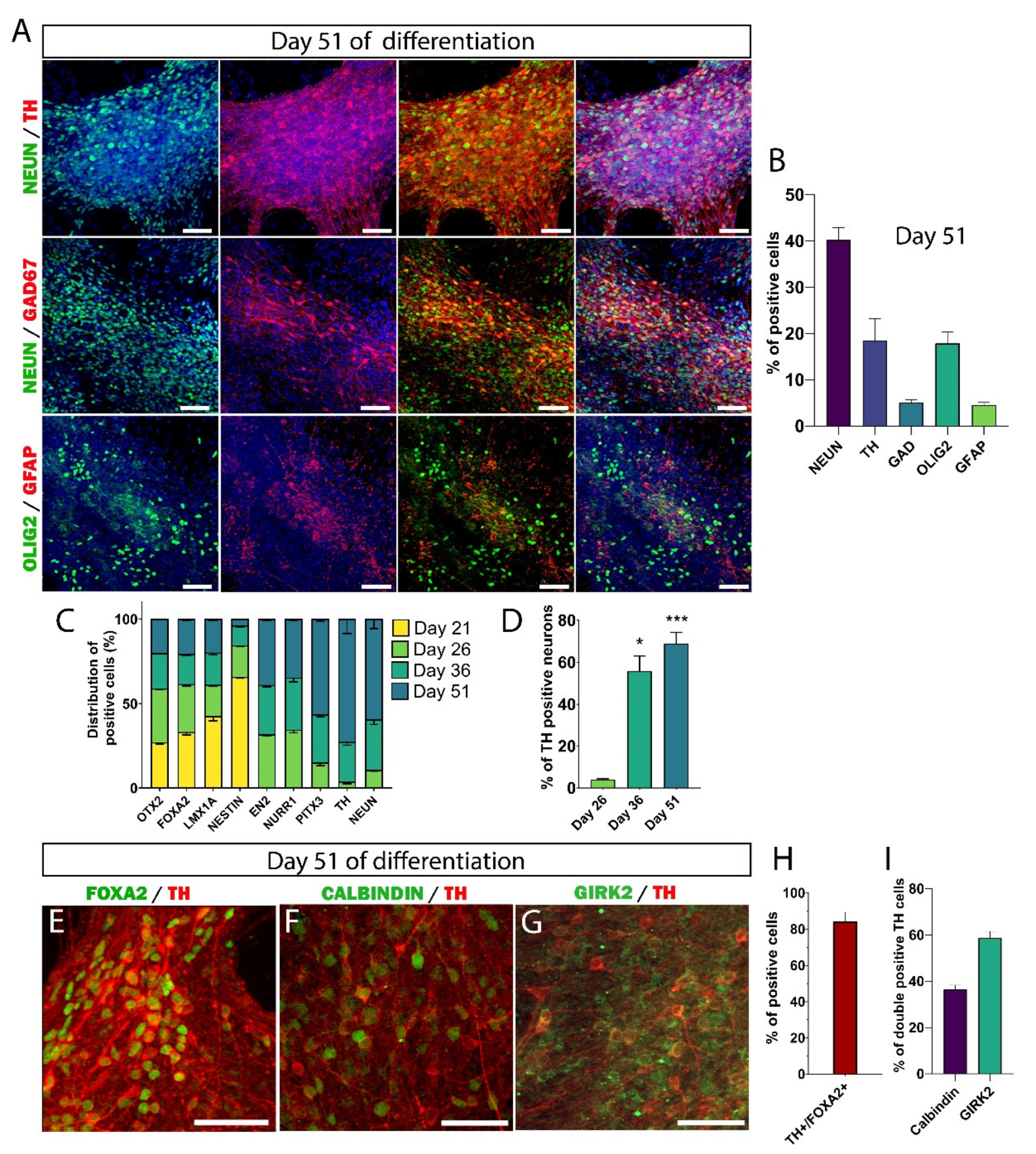 Cells 11 01596 g004