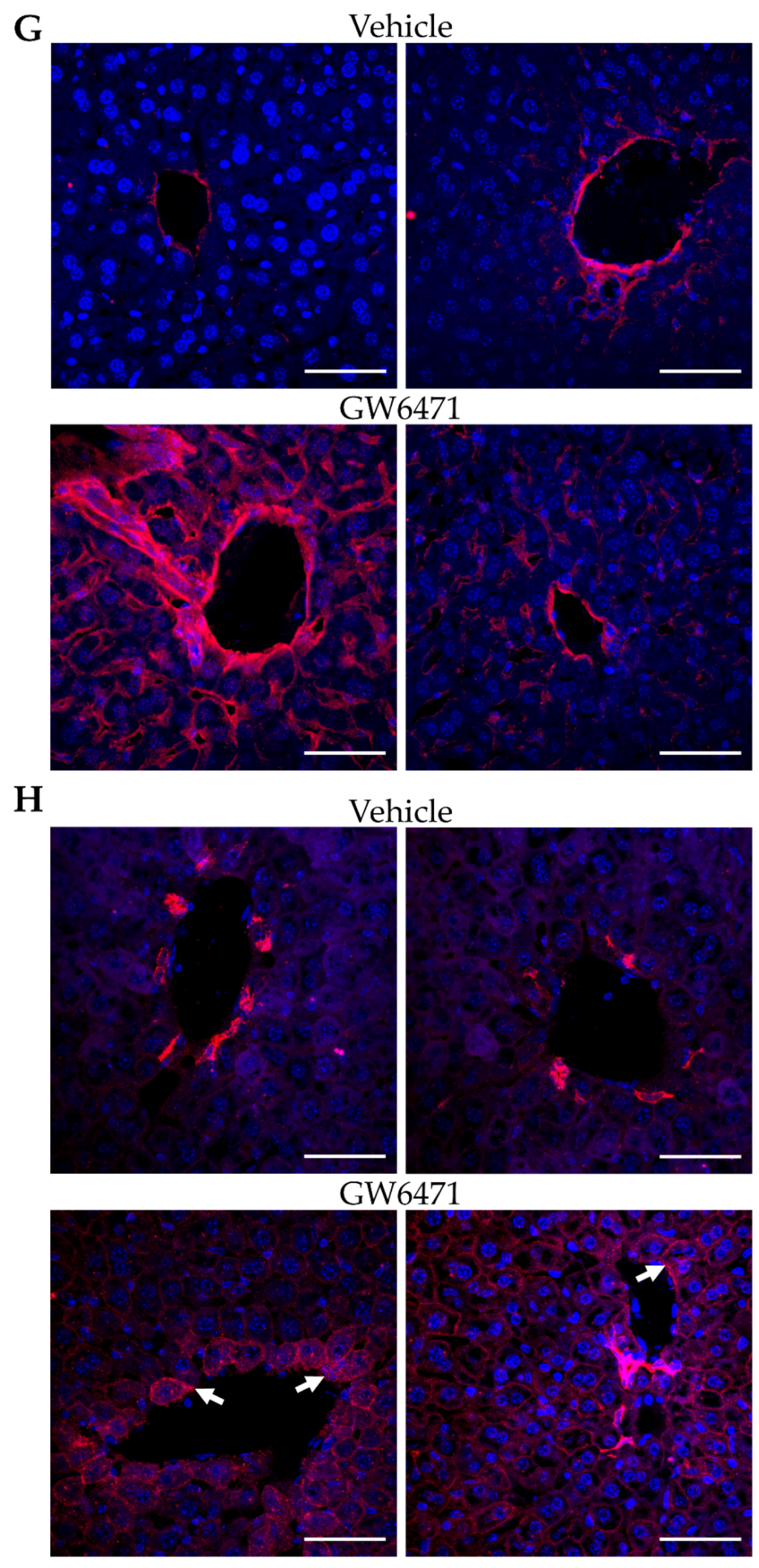 Cells 11 01597 g005b