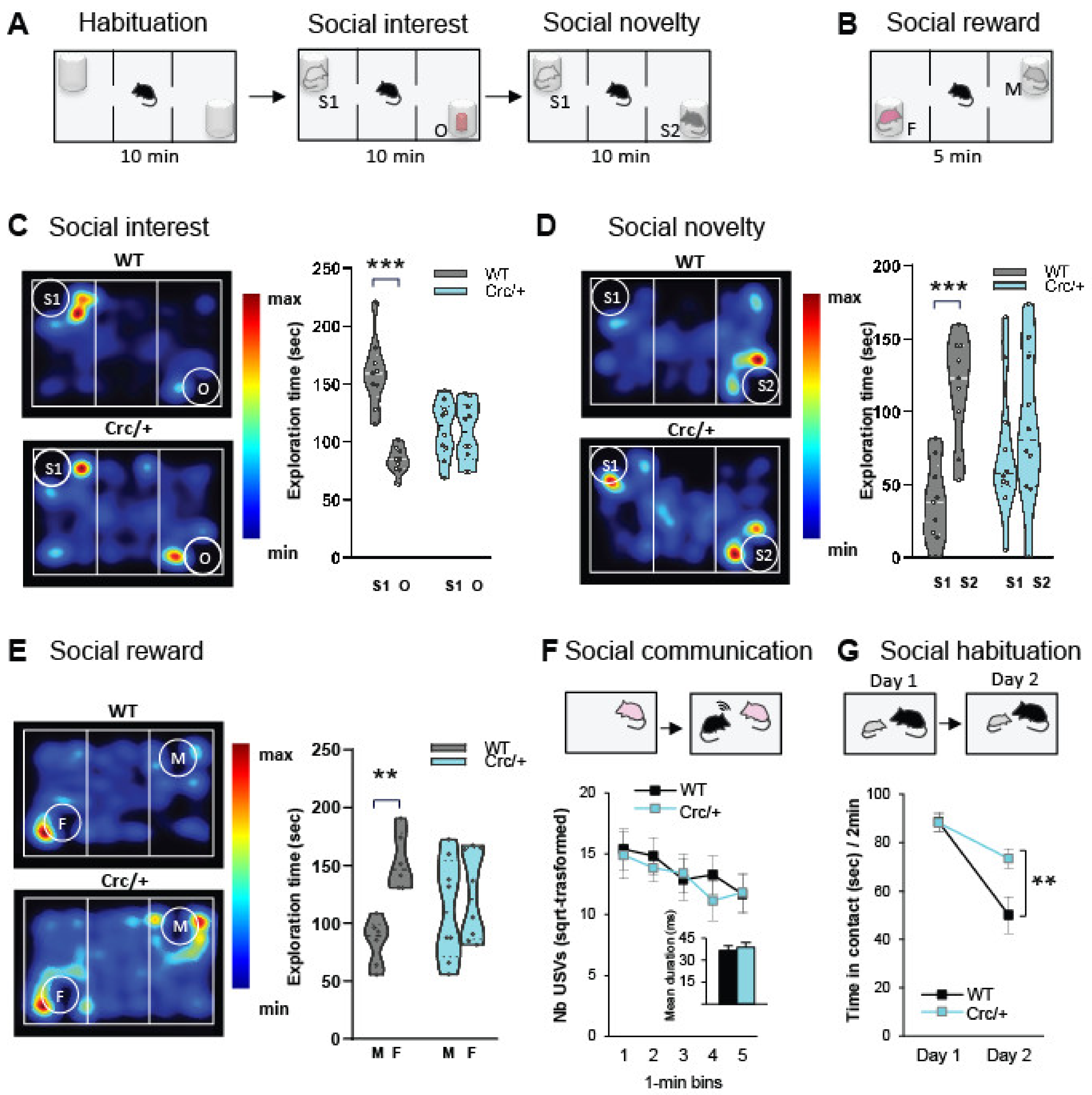 Cells 11 01601 g001 Cells 11 01601 g001
