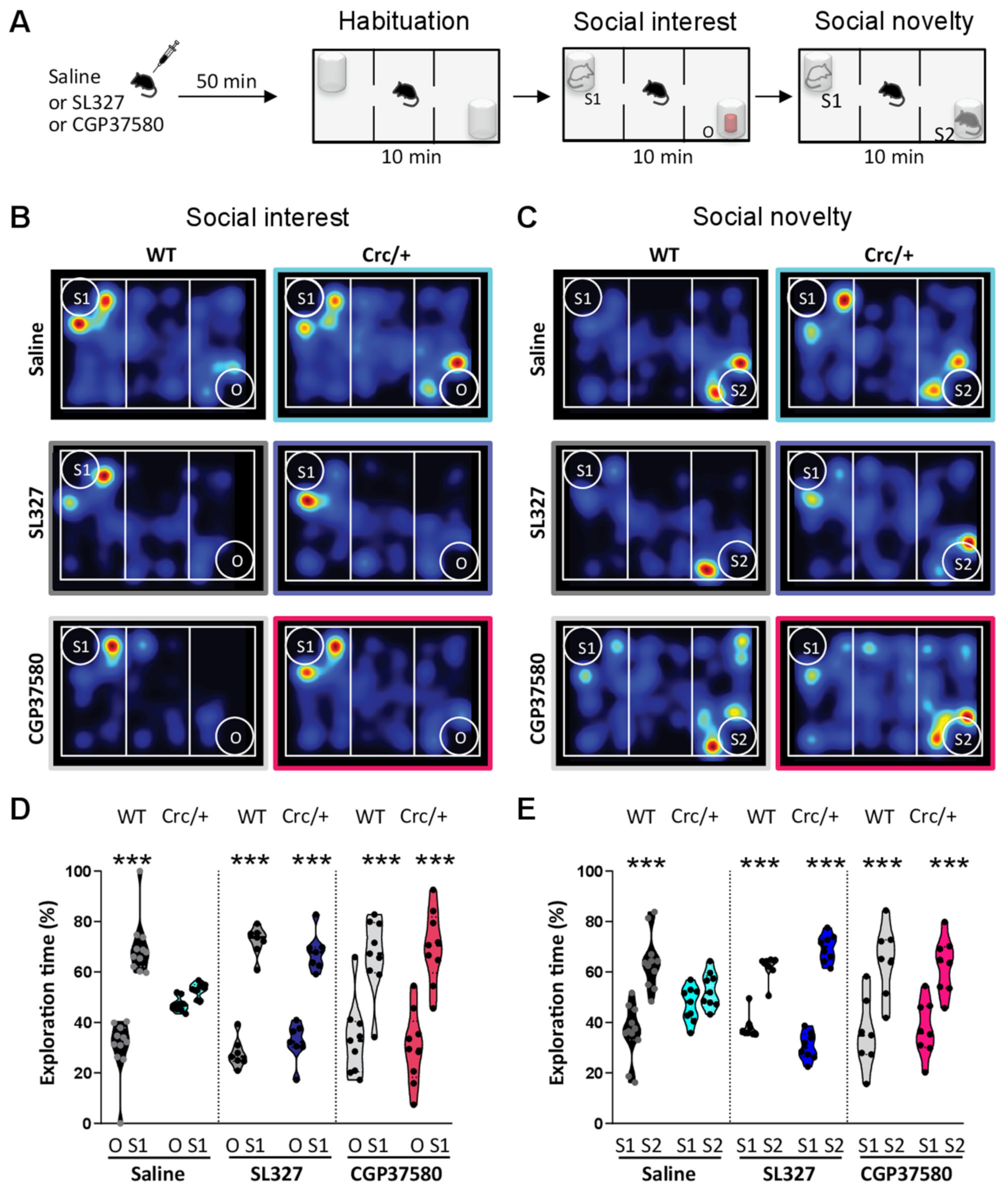 Cells 11 01601 g005 Cells 11 01601 g005
