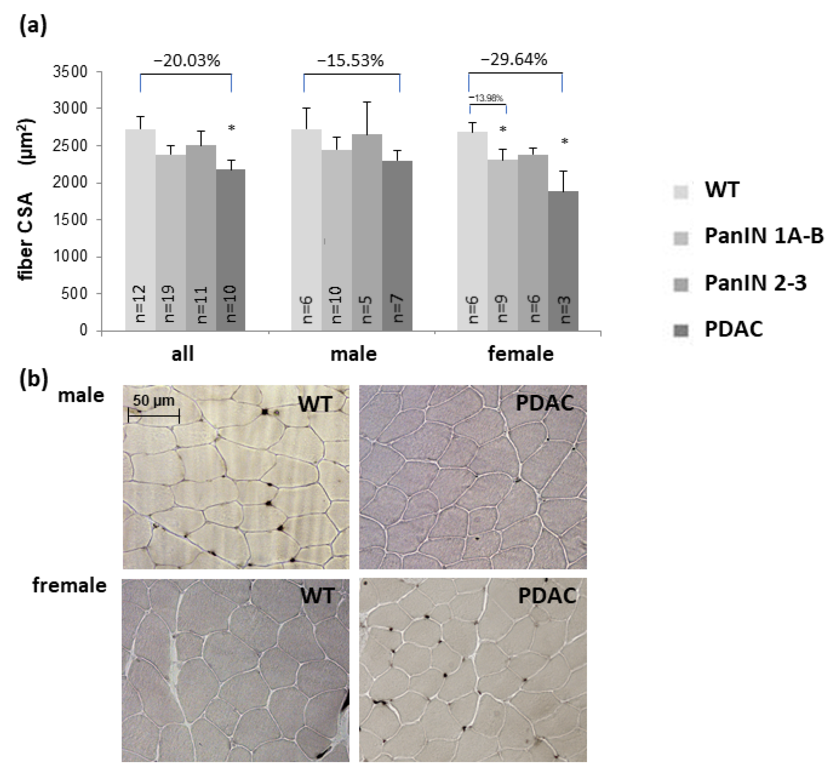 Cells 11 01607 g001 Cells 11 01607 g001