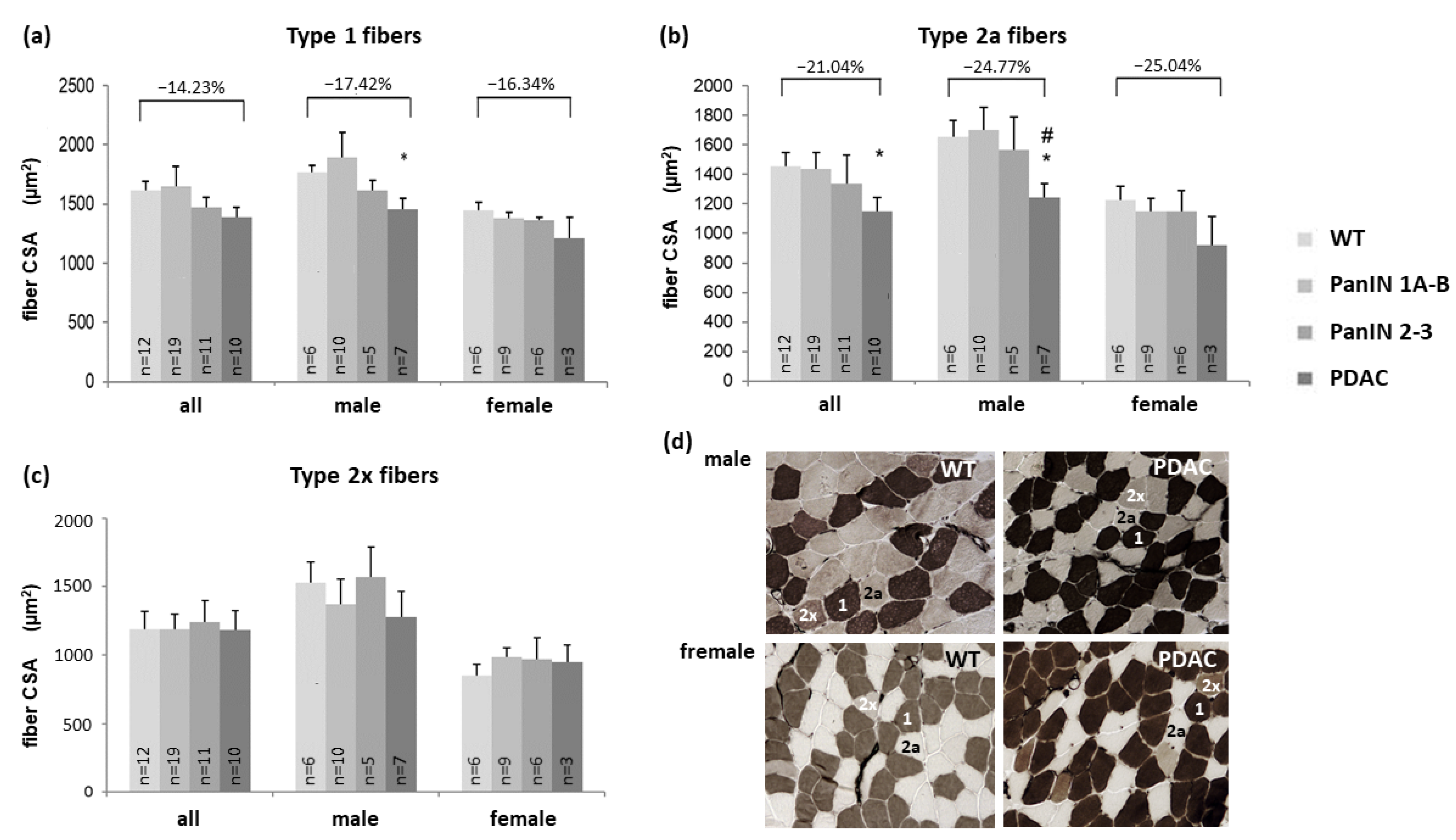 Cells 11 01607 g002 Cells 11 01607 g002