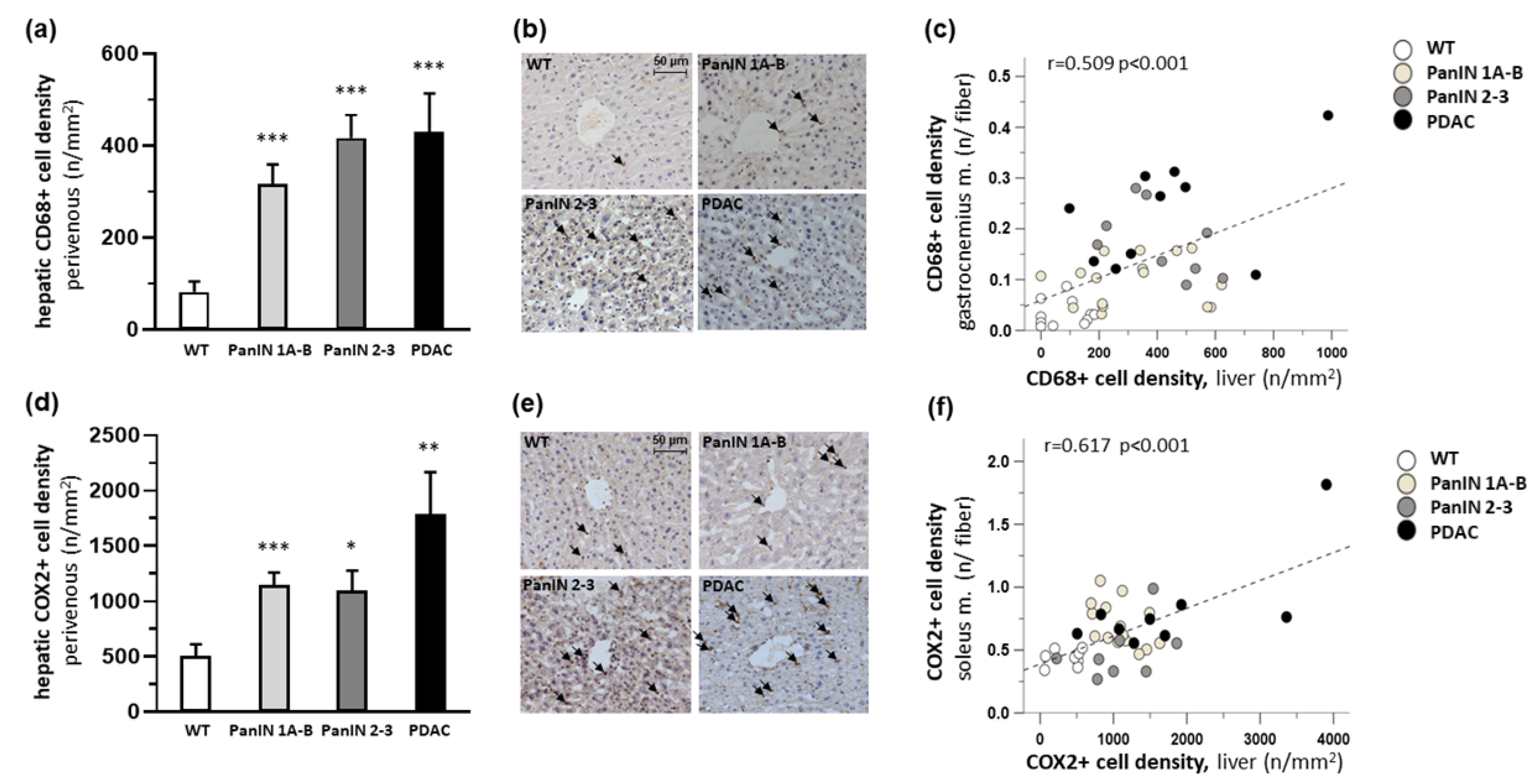 Cells 11 01607 g006 Cells 11 01607 g006