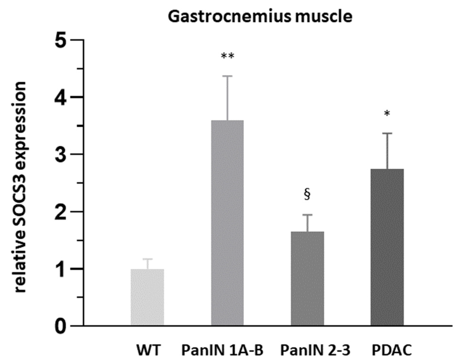 Cells 11 01607 g007 Cells 11 01607 g007