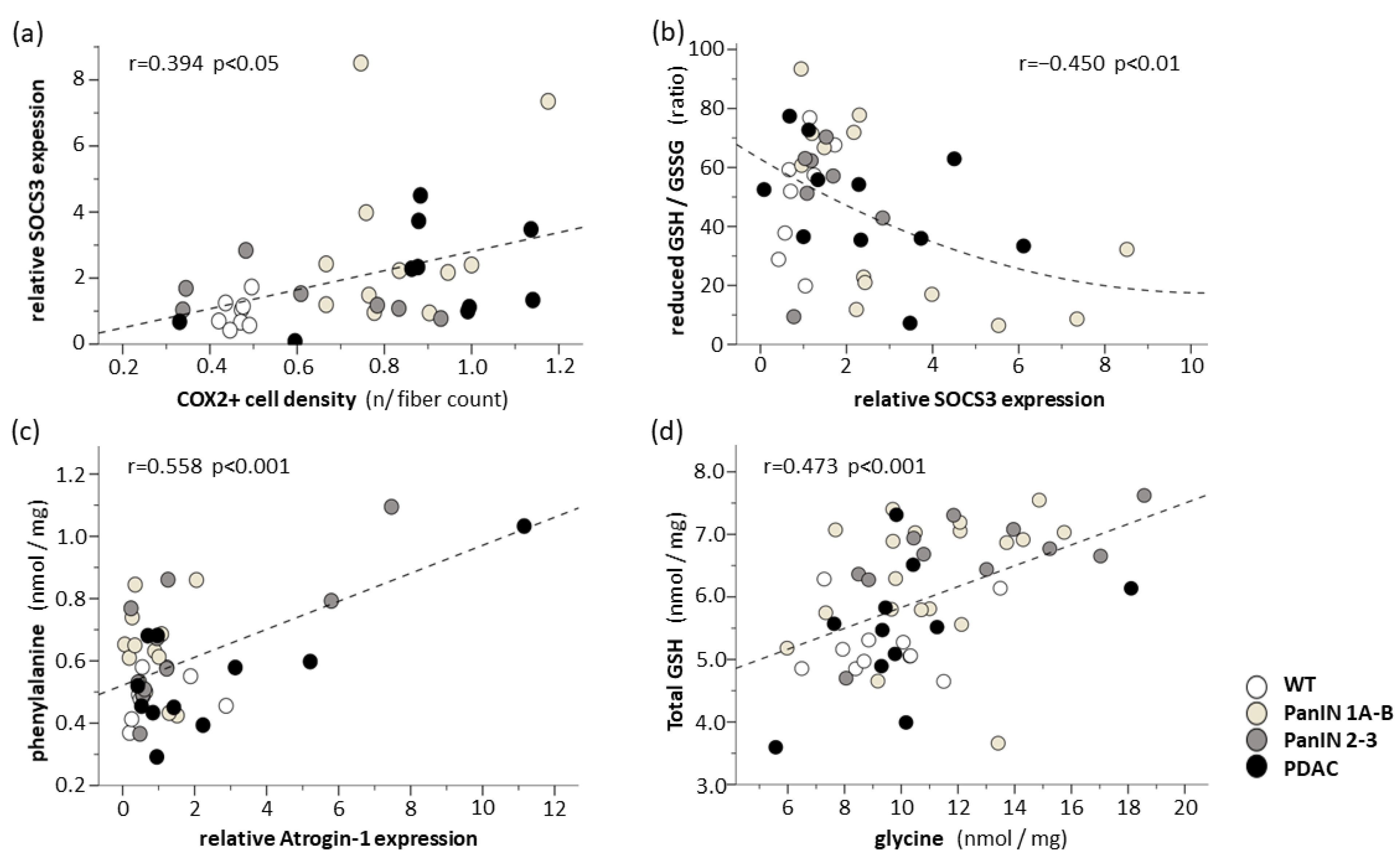 Cells 11 01607 g008 Cells 11 01607 g008