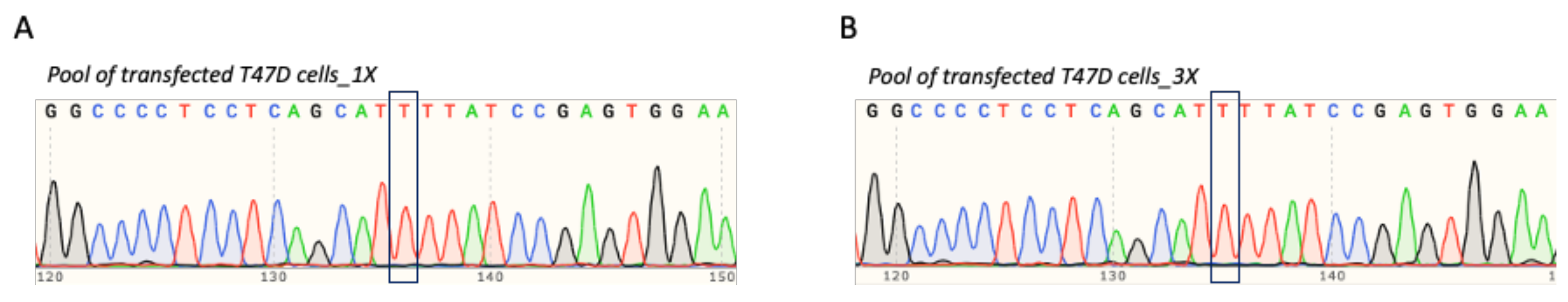 Cells 11 01612 g005 550