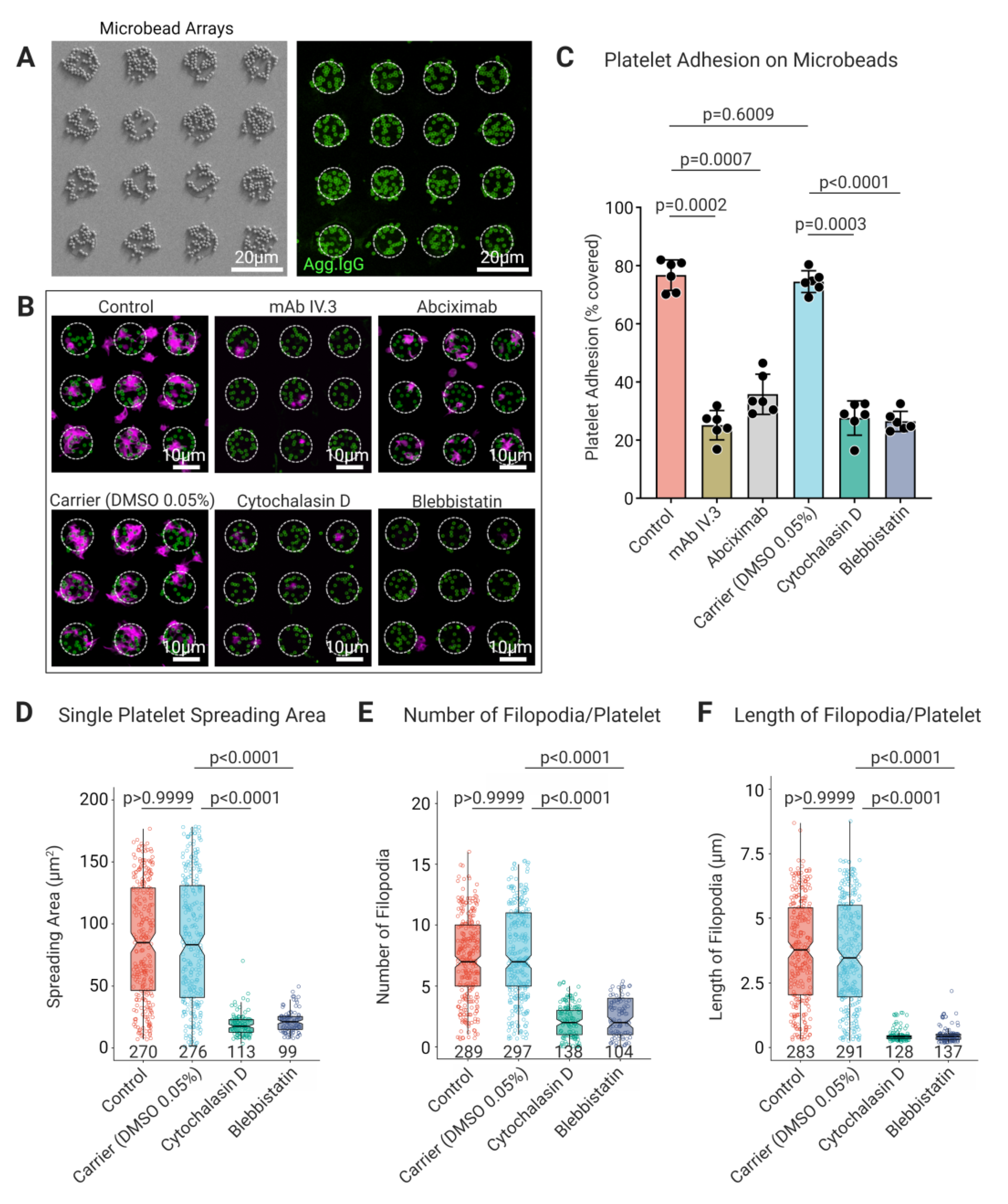 Cells 11 01615 g003 550