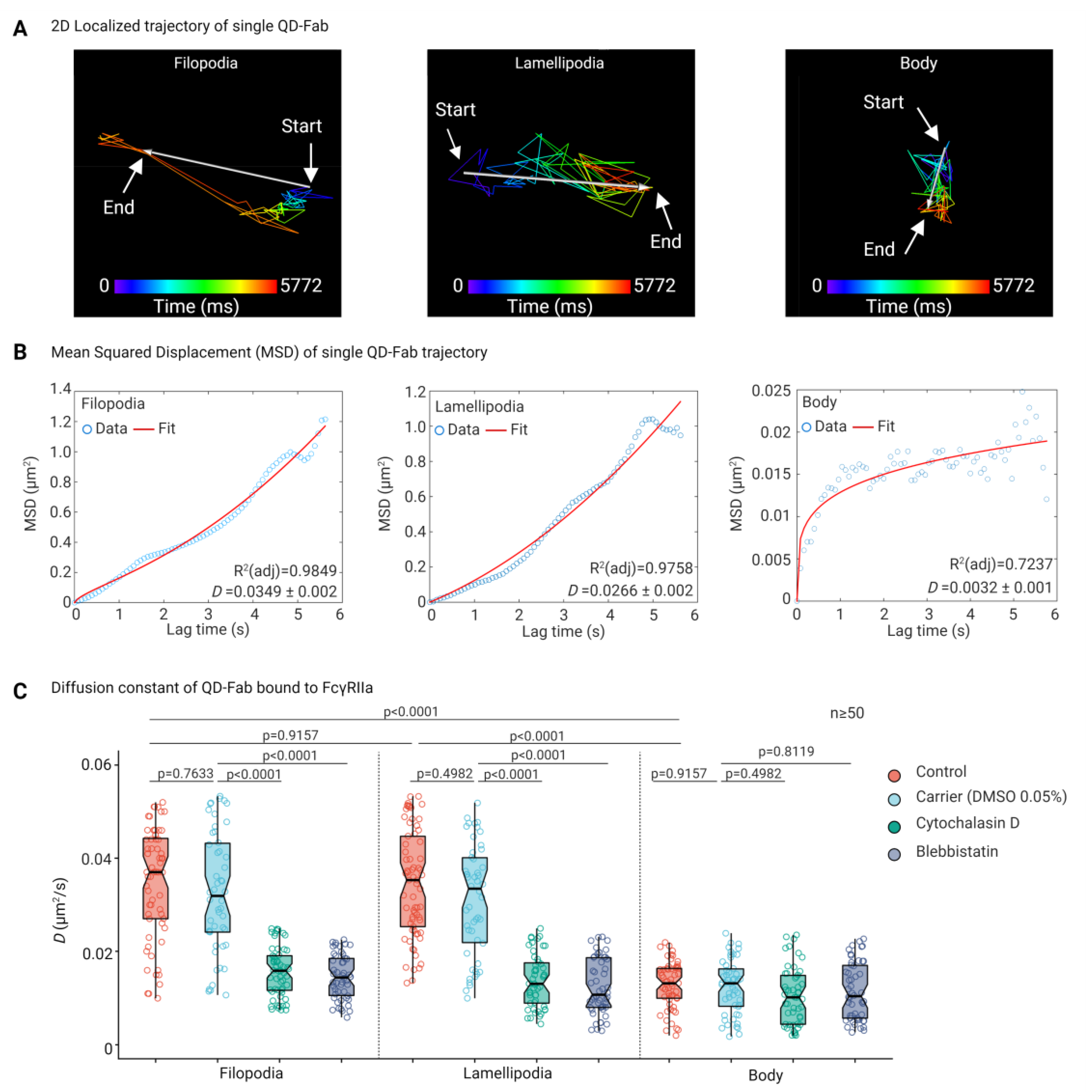 Cells 11 01615 g006 550