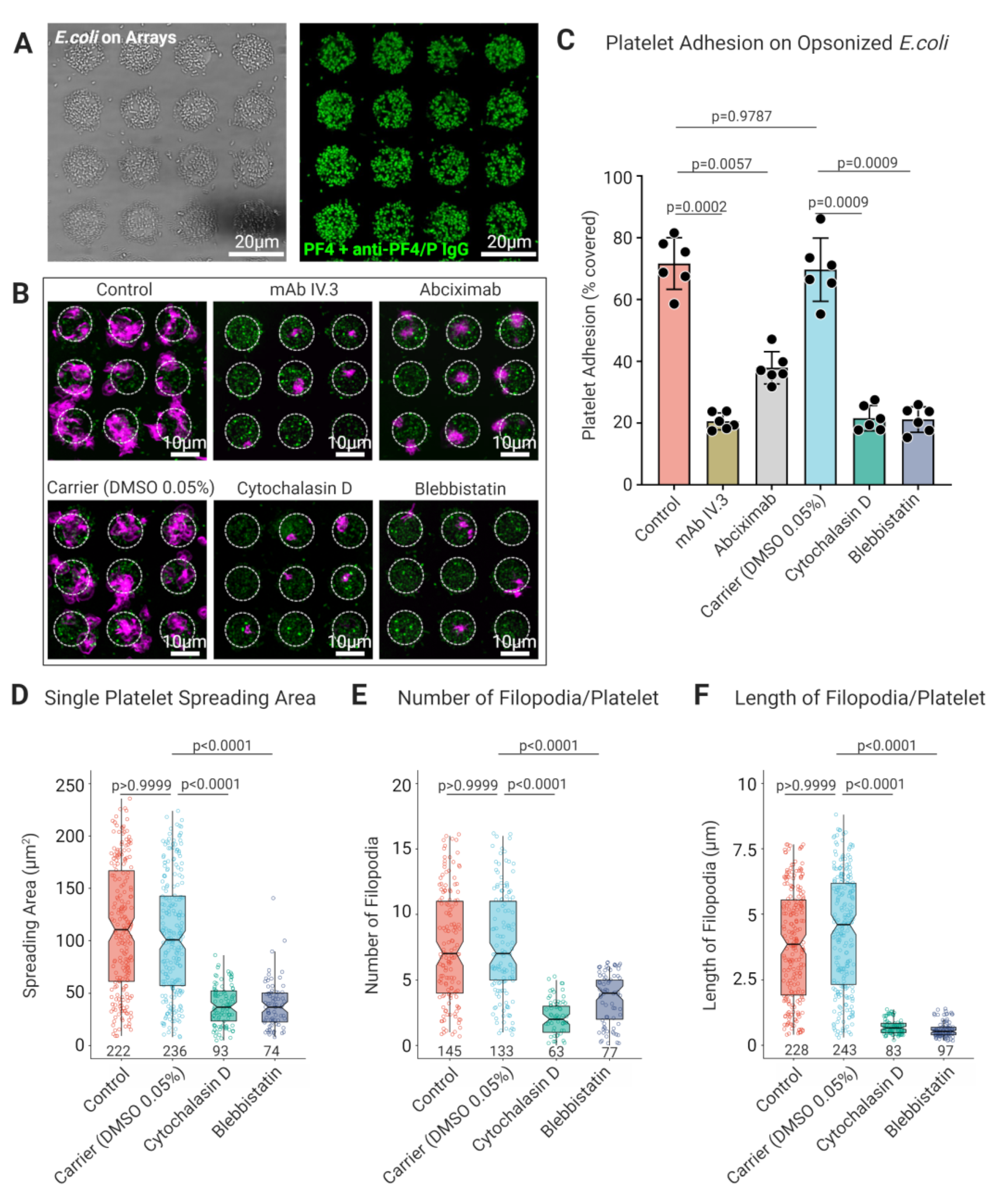 Cells 11 01615 g007 550