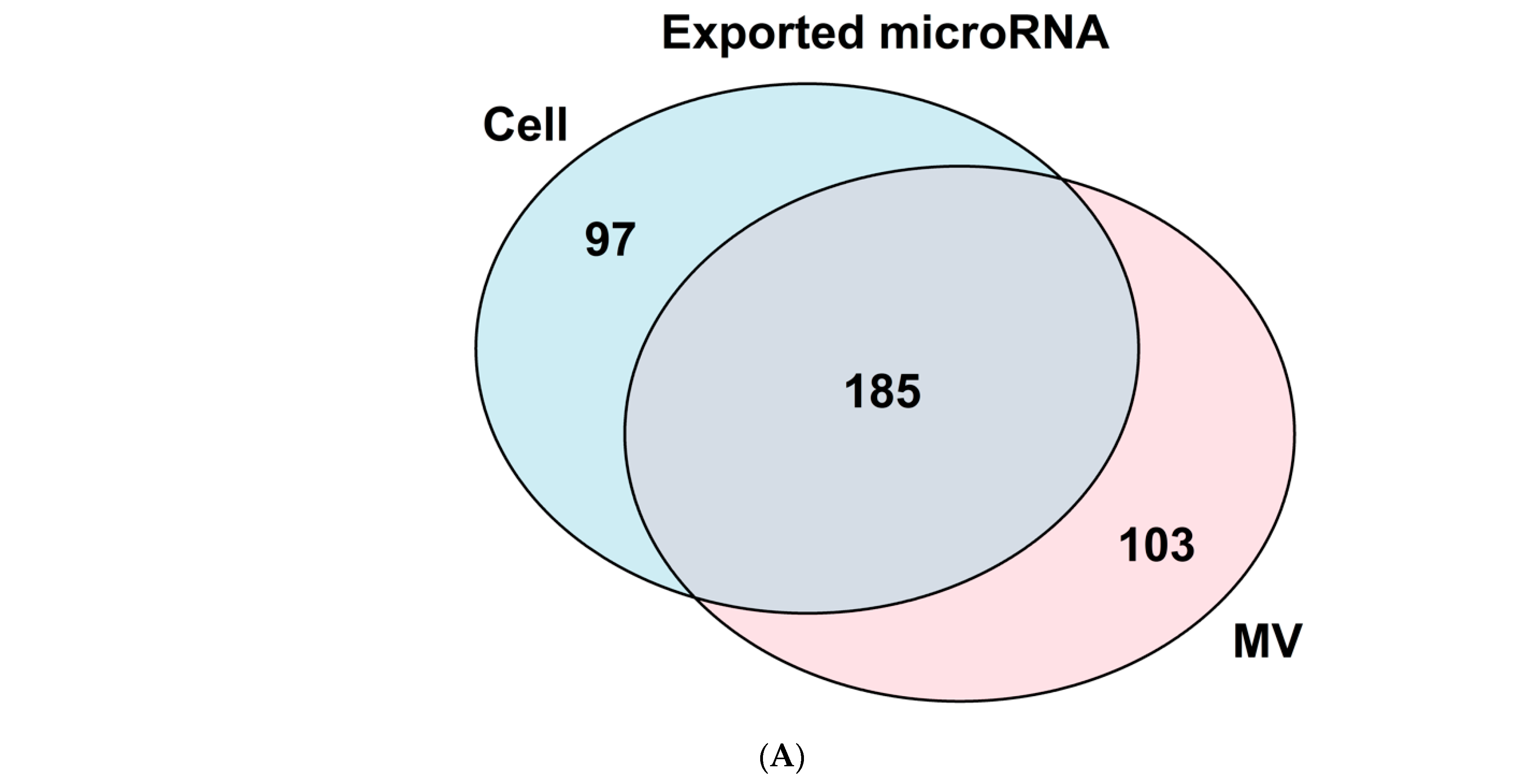 Cells 11 01619 g003a Cells 11 01619 g003a