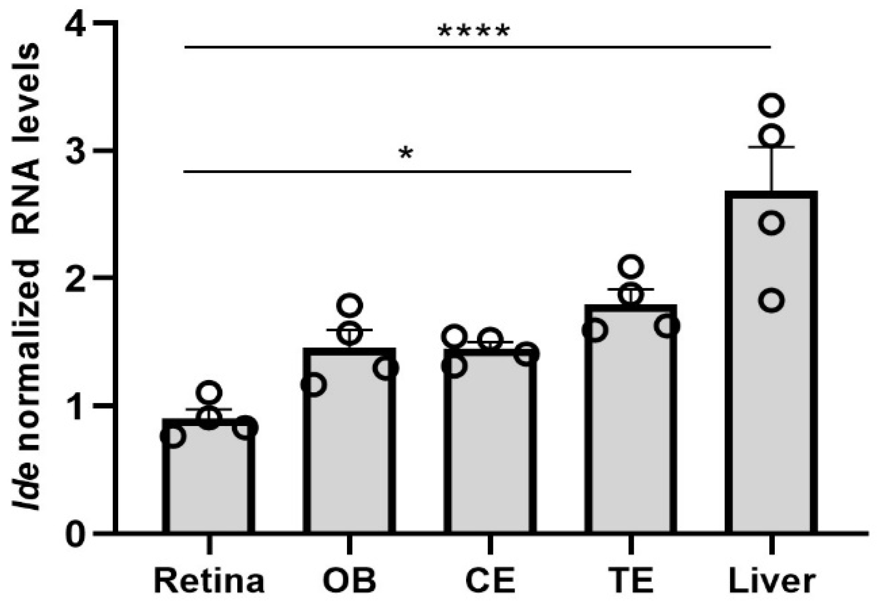 Cells 11 01621 g001 Cells 11 01621 g001