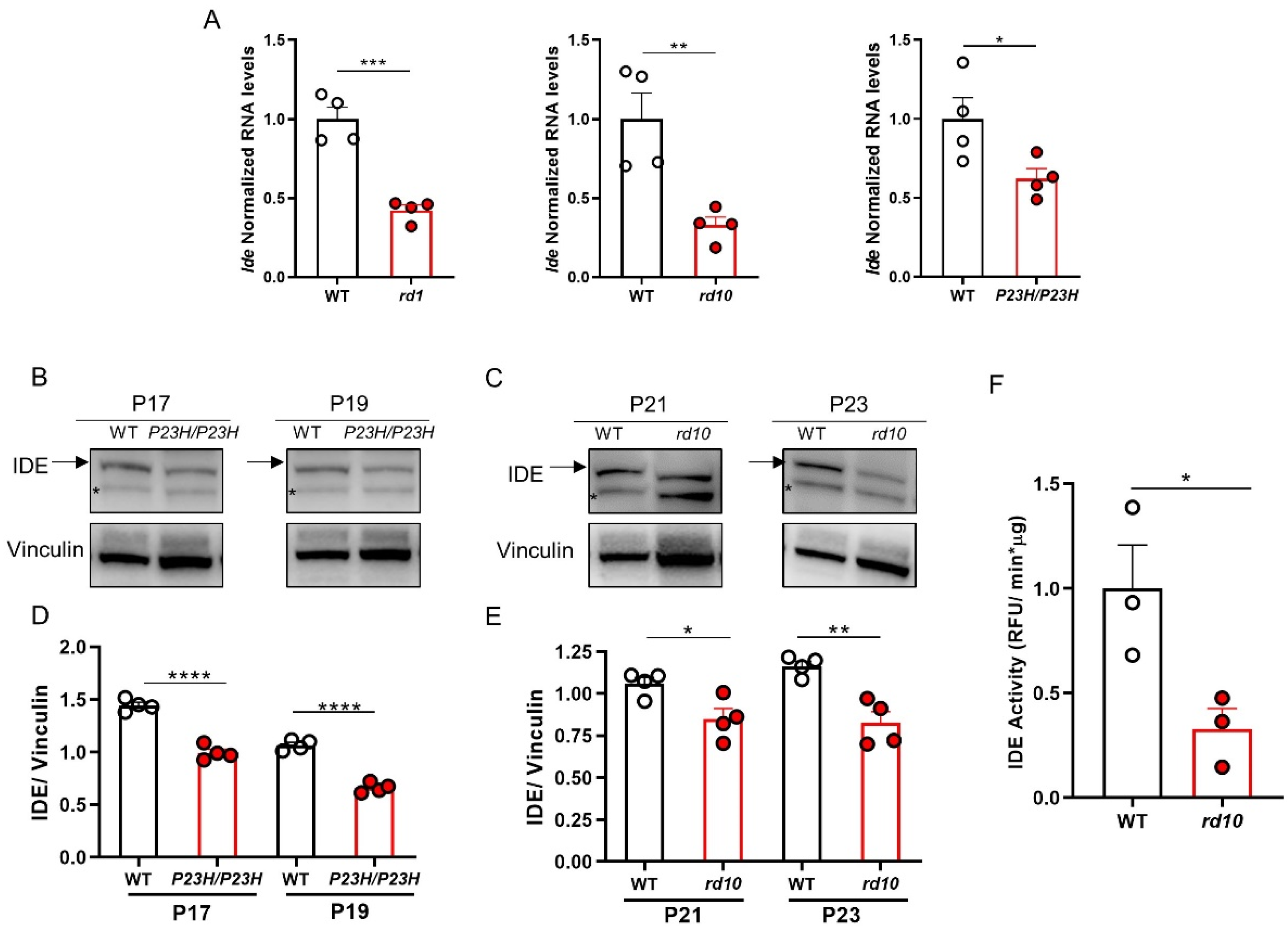 Cells 11 01621 g003 Cells 11 01621 g003
