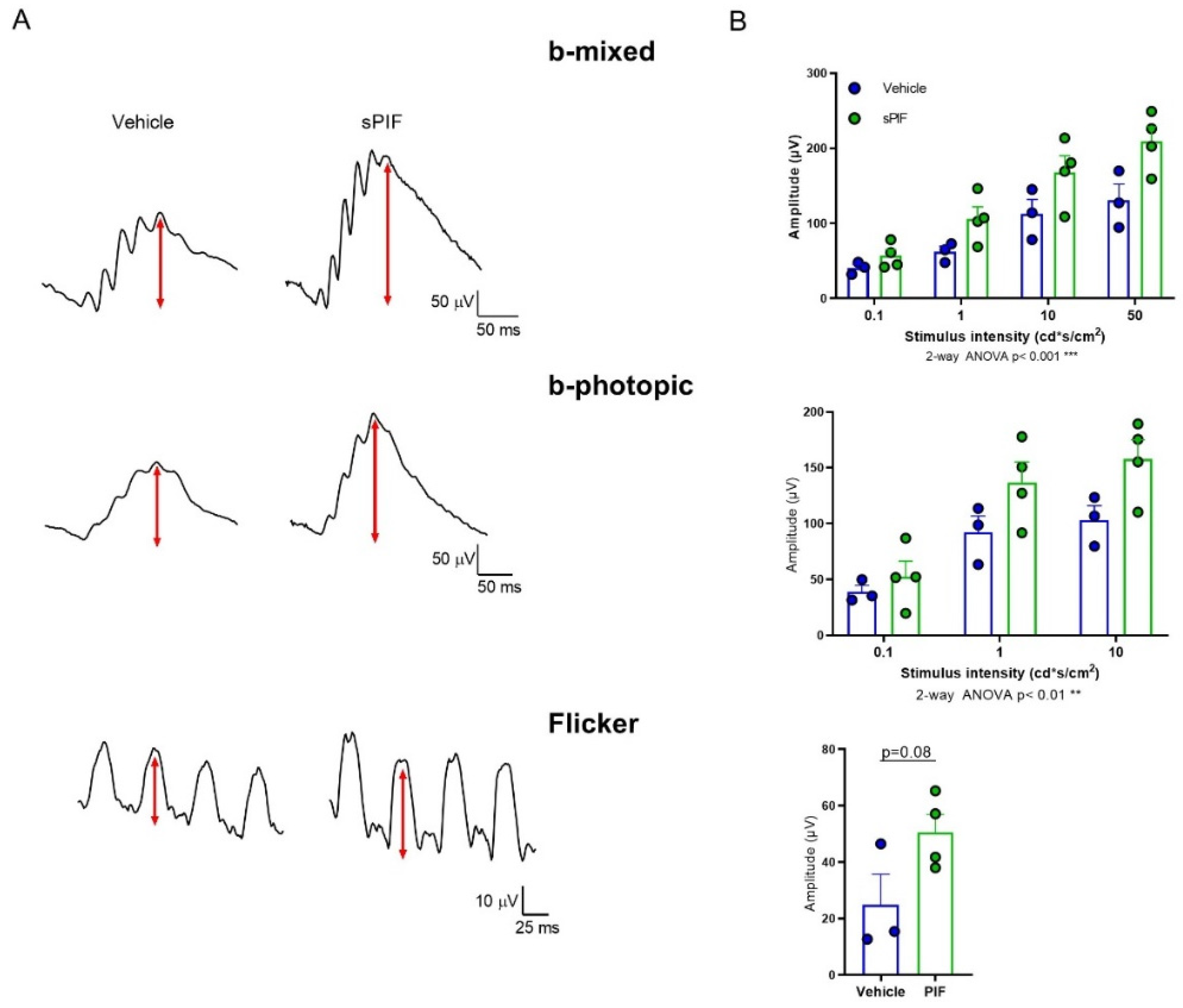 Cells 11 01621 g005 Cells 11 01621 g005