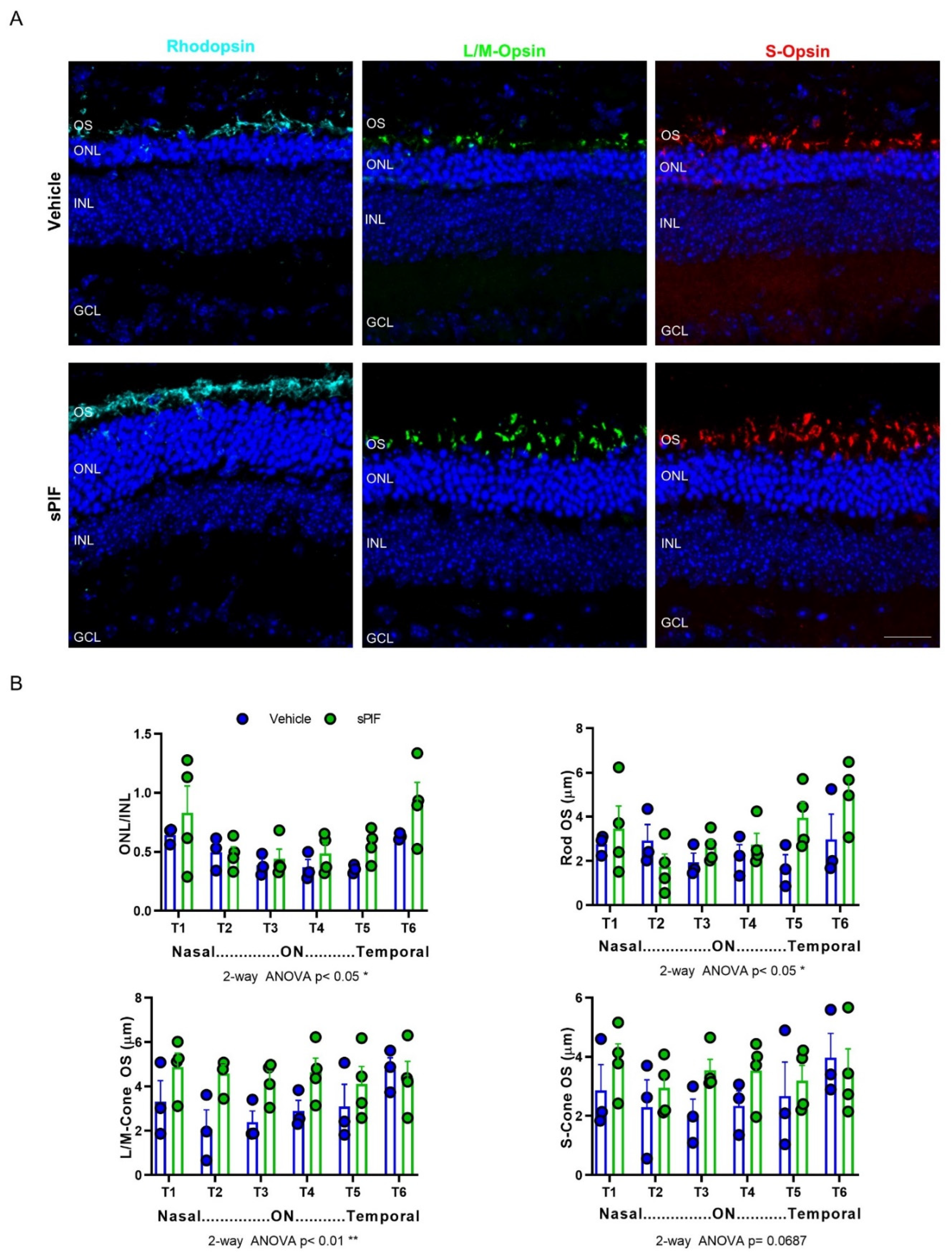 Cells 11 01621 g006 Cells 11 01621 g006
