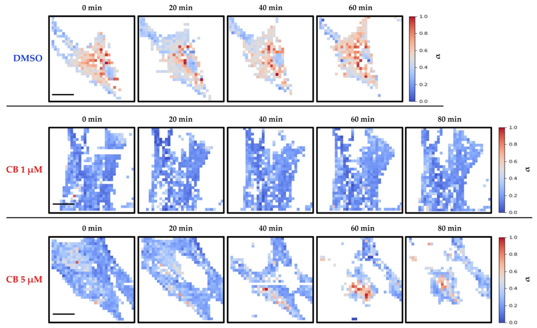 Cells 11 01629 g010 Cells 11 01629 g010