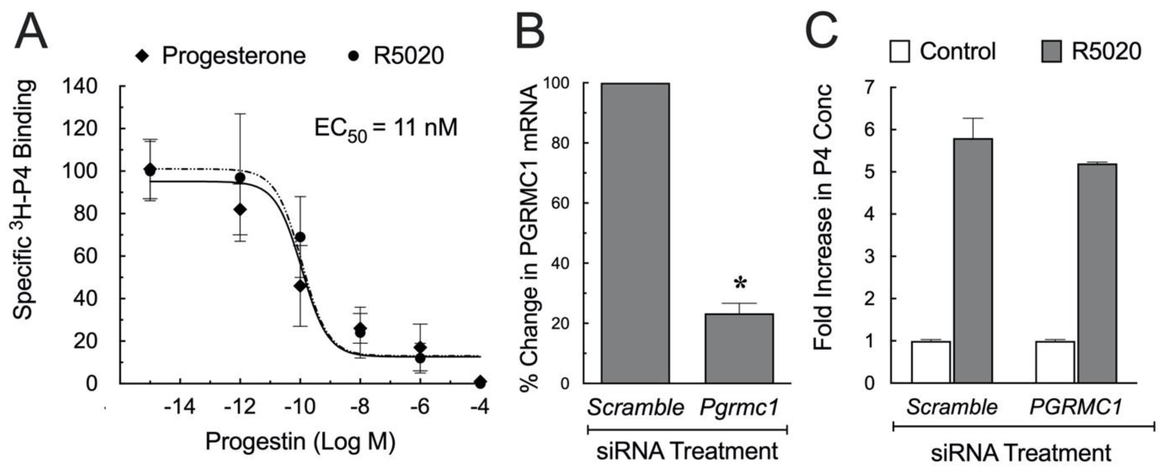 Cells 11 01632 g002 Cells 11 01632 g002