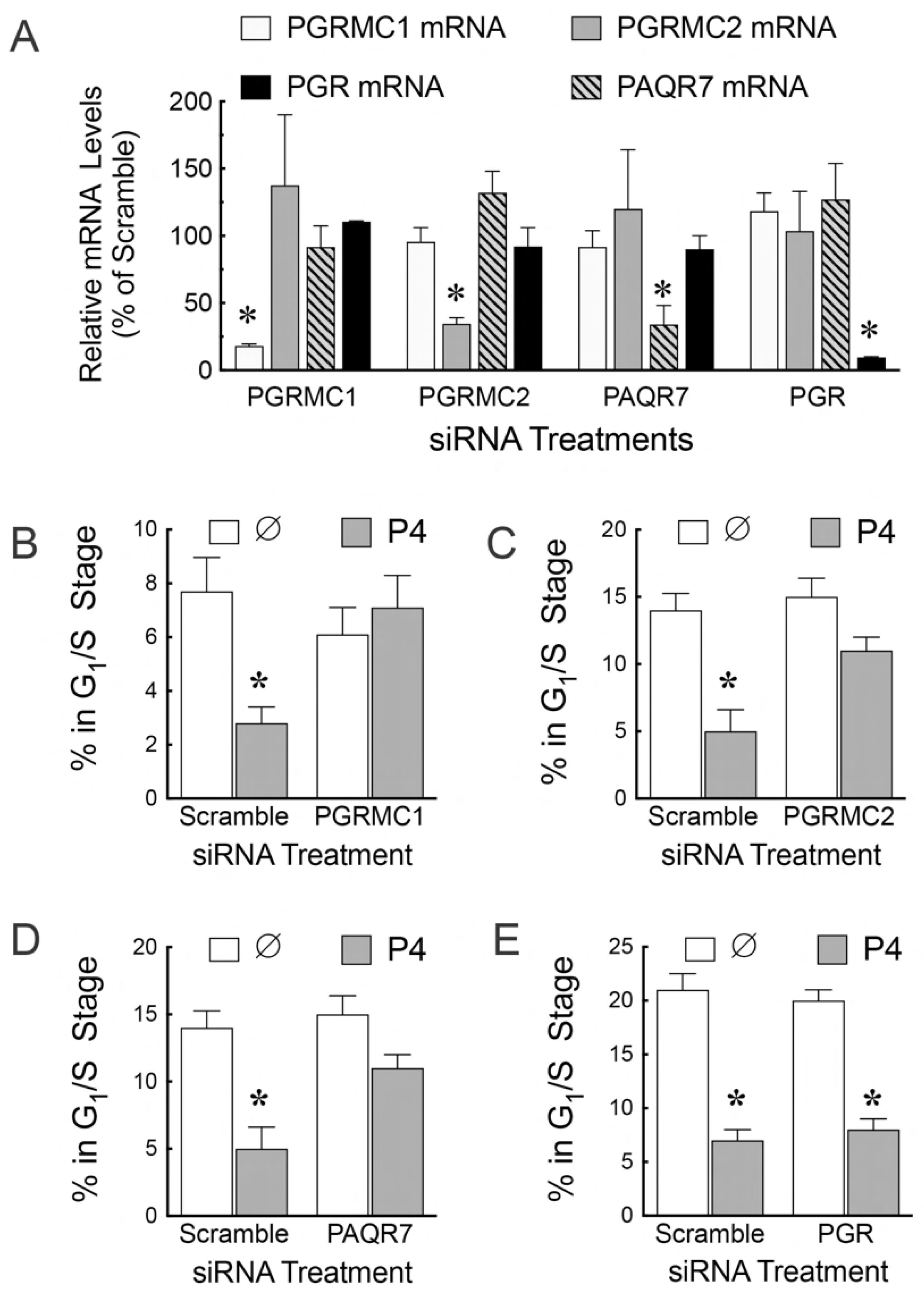 Cells 11 01632 g004 Cells 11 01632 g004
