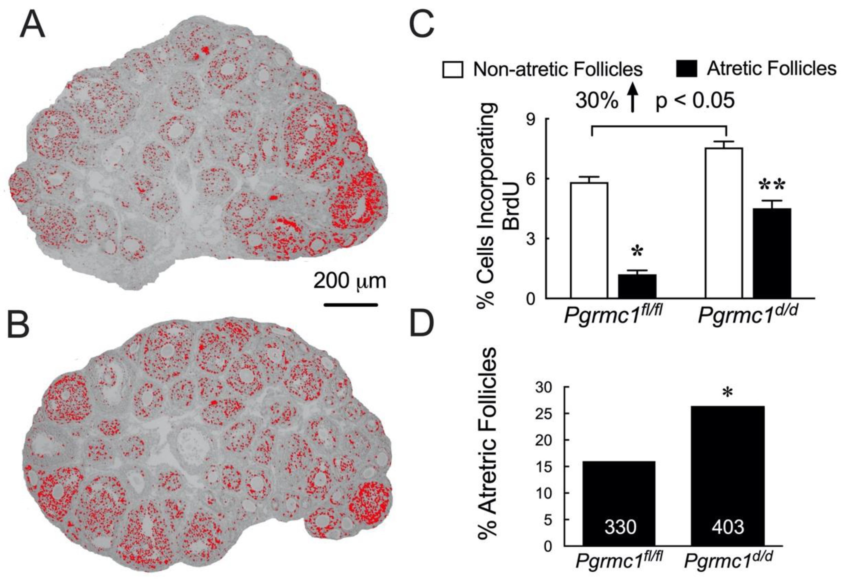 Cells 11 01632 g007 Cells 11 01632 g007