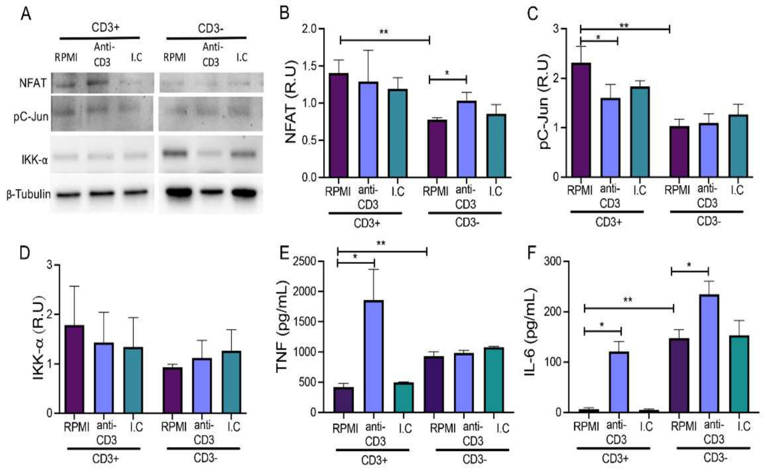 Cells 11 01635 g003 550