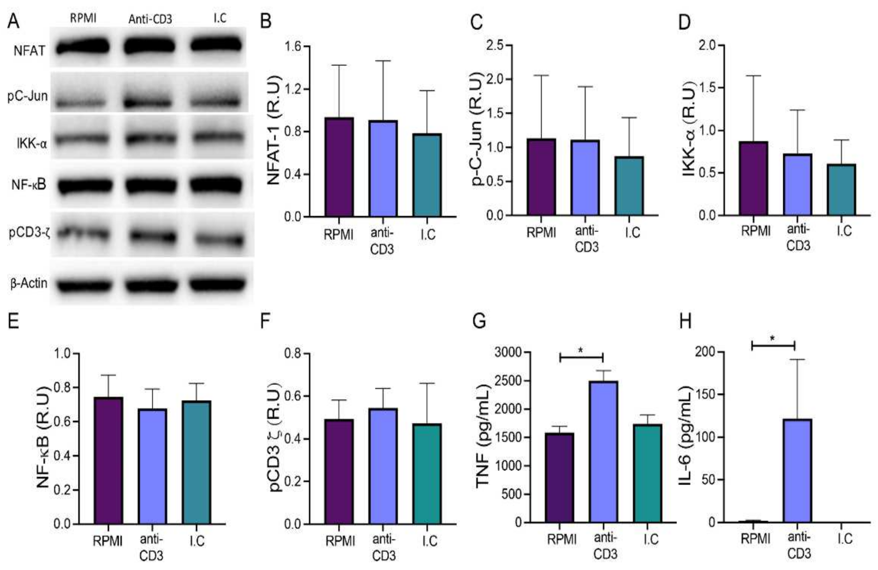 Cells 11 01635 g004 550