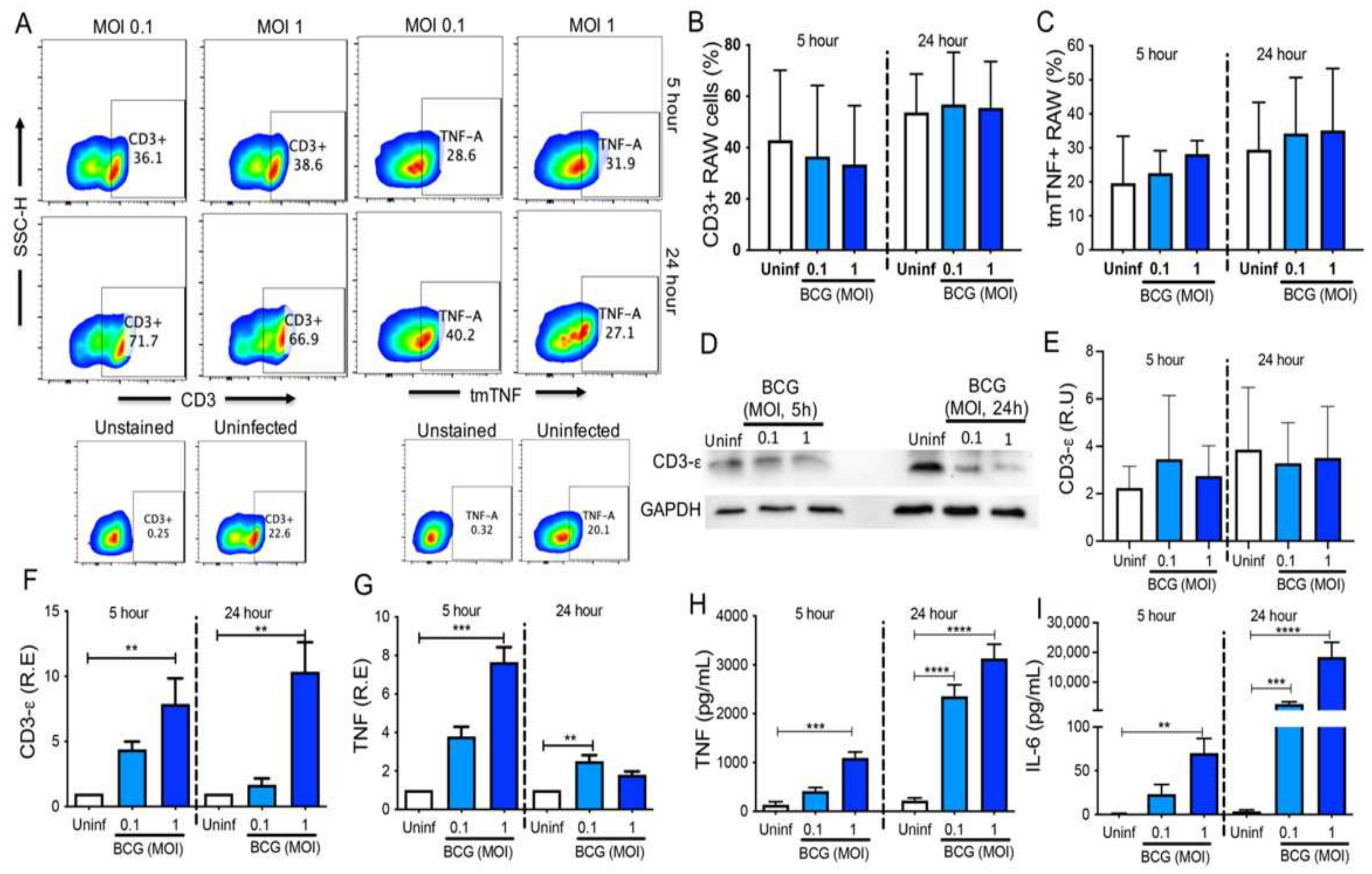 Cells 11 01635 g005 550