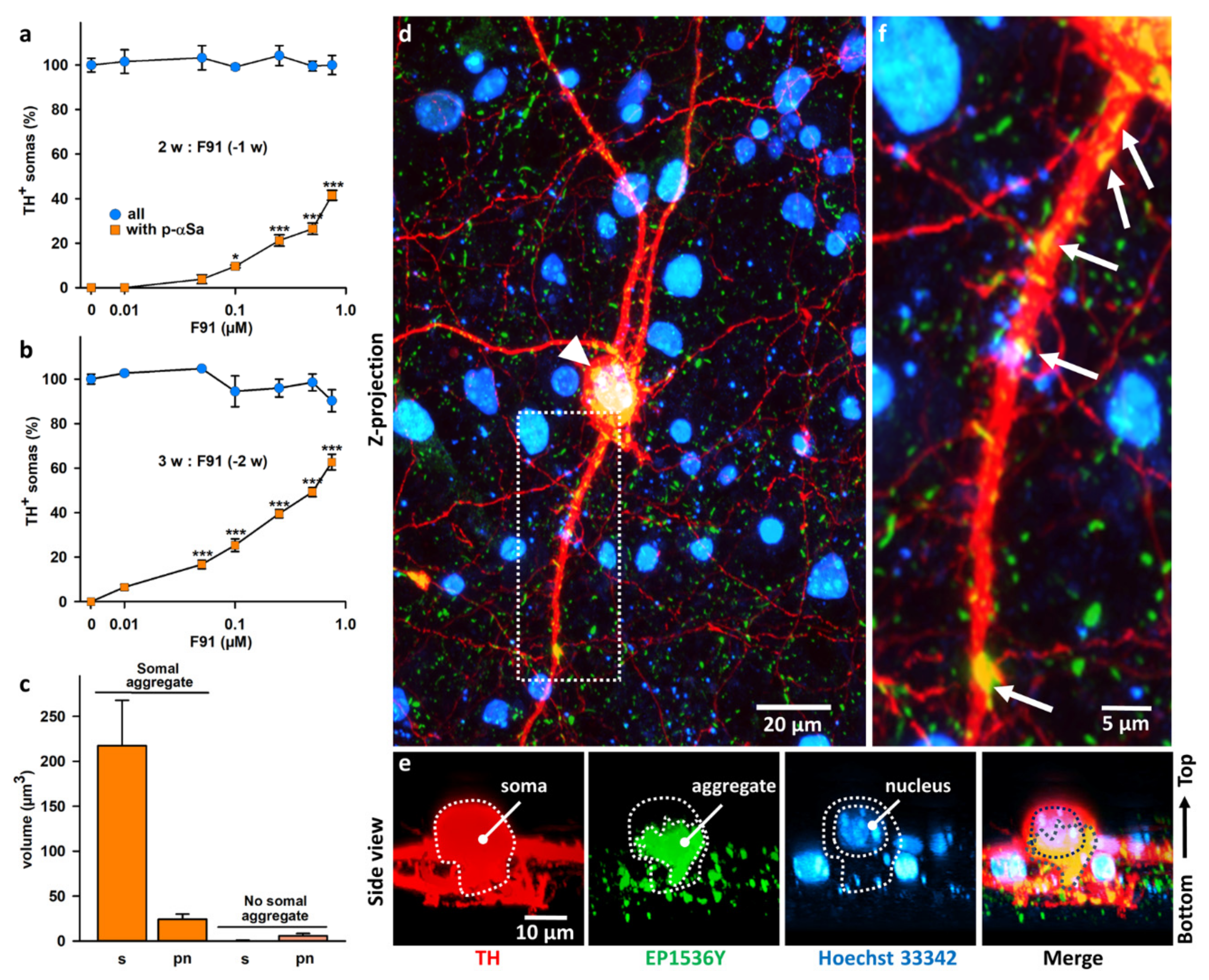 Cells 11 01640 g002 Cells 11 01640 g002