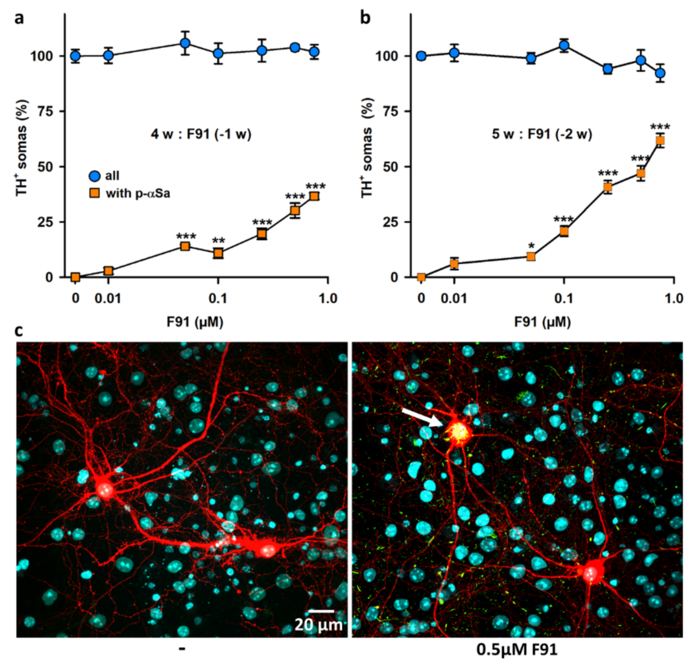 Cells 11 01640 g003 Cells 11 01640 g003