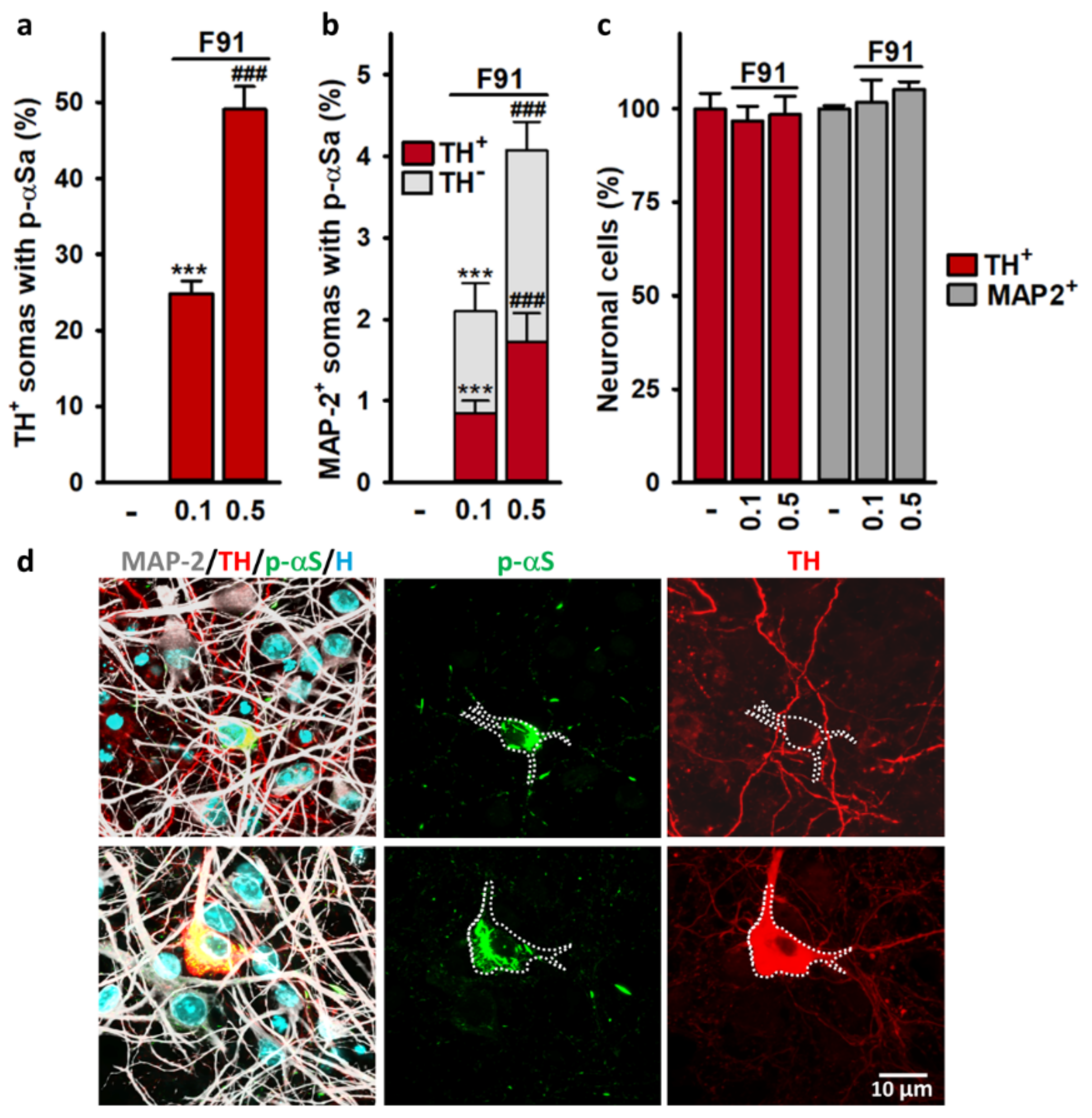 Cells 11 01640 g004 Cells 11 01640 g004