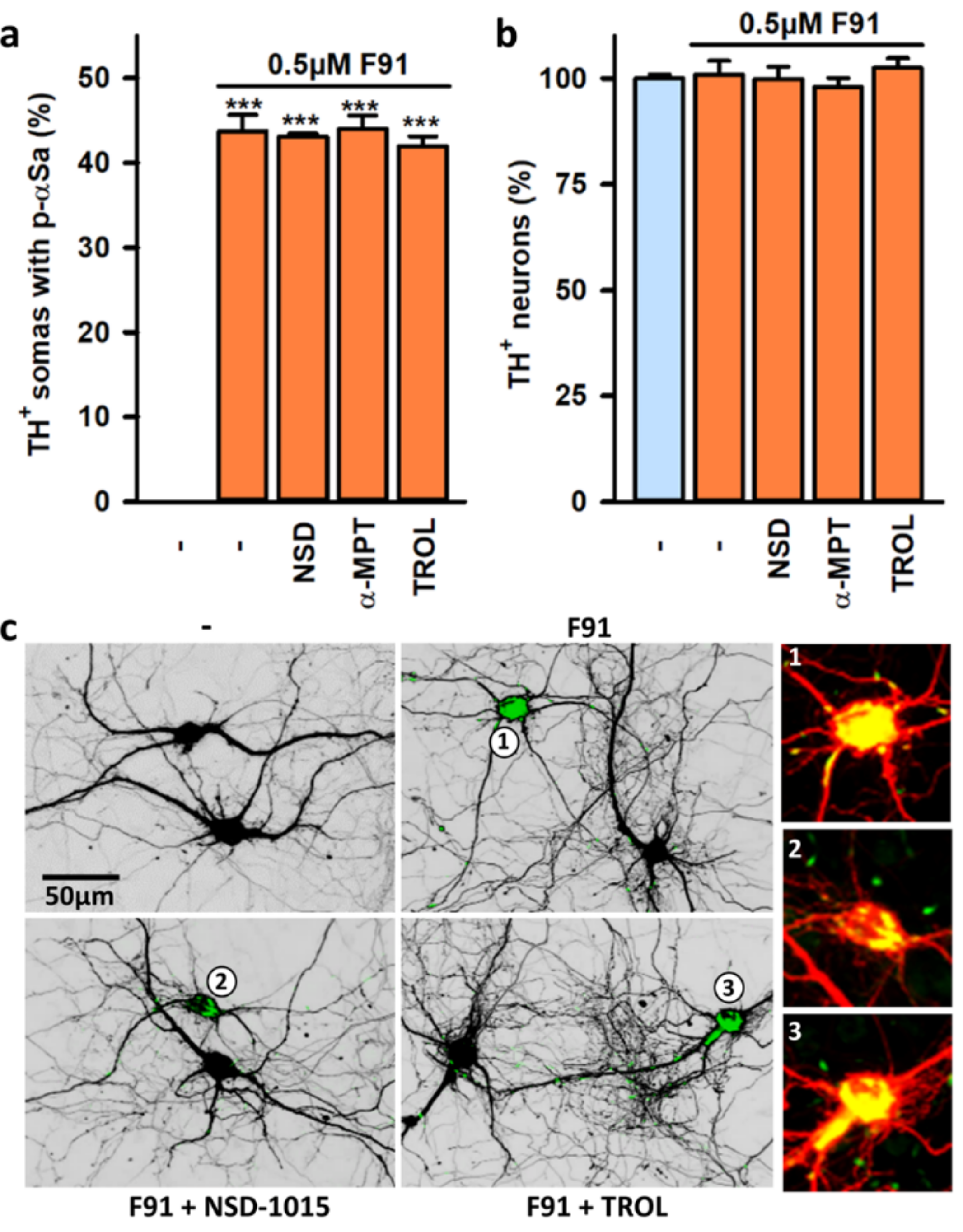 Cells 11 01640 g005 Cells 11 01640 g005