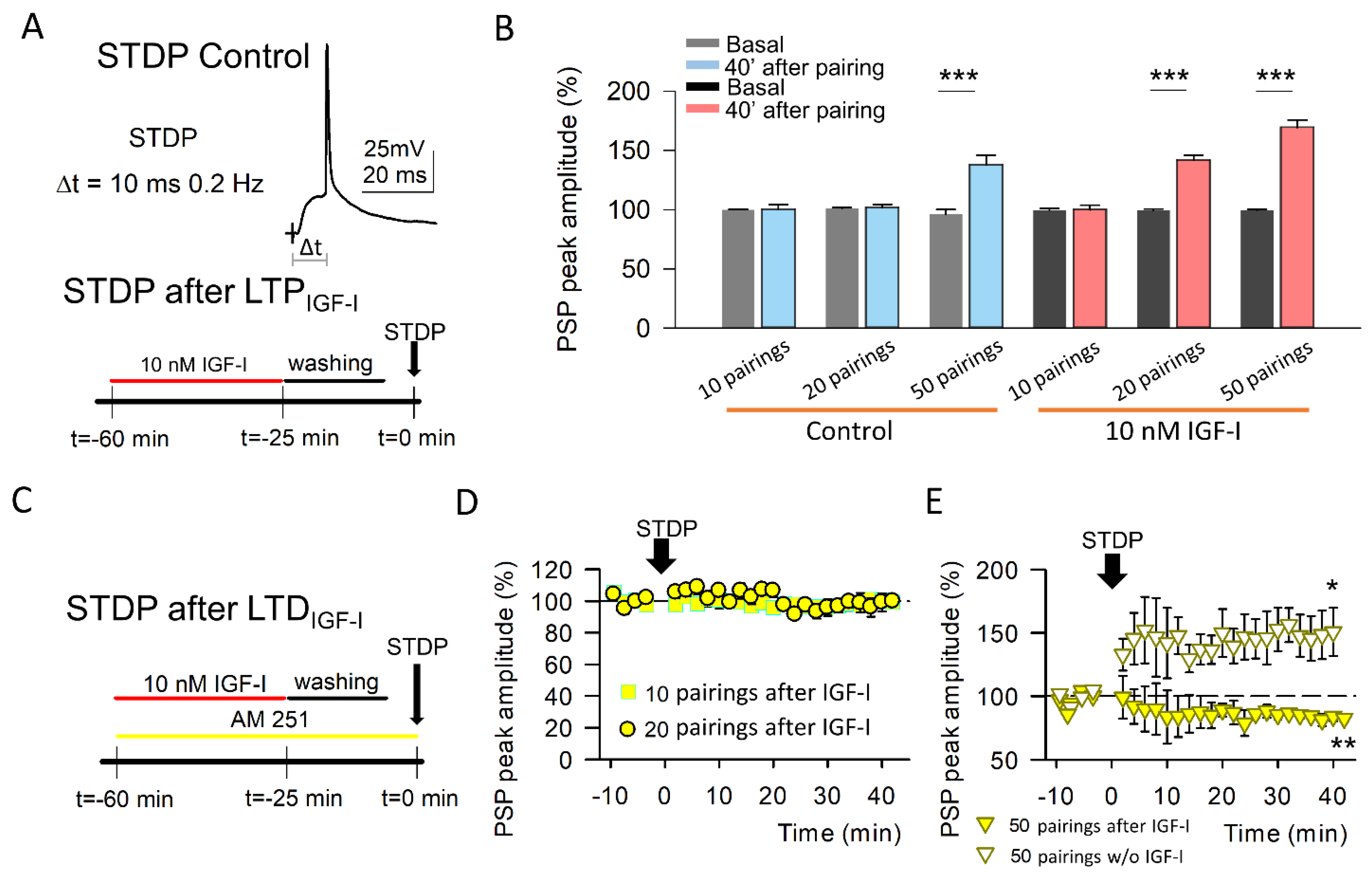 Cells 11 01641 g004 550