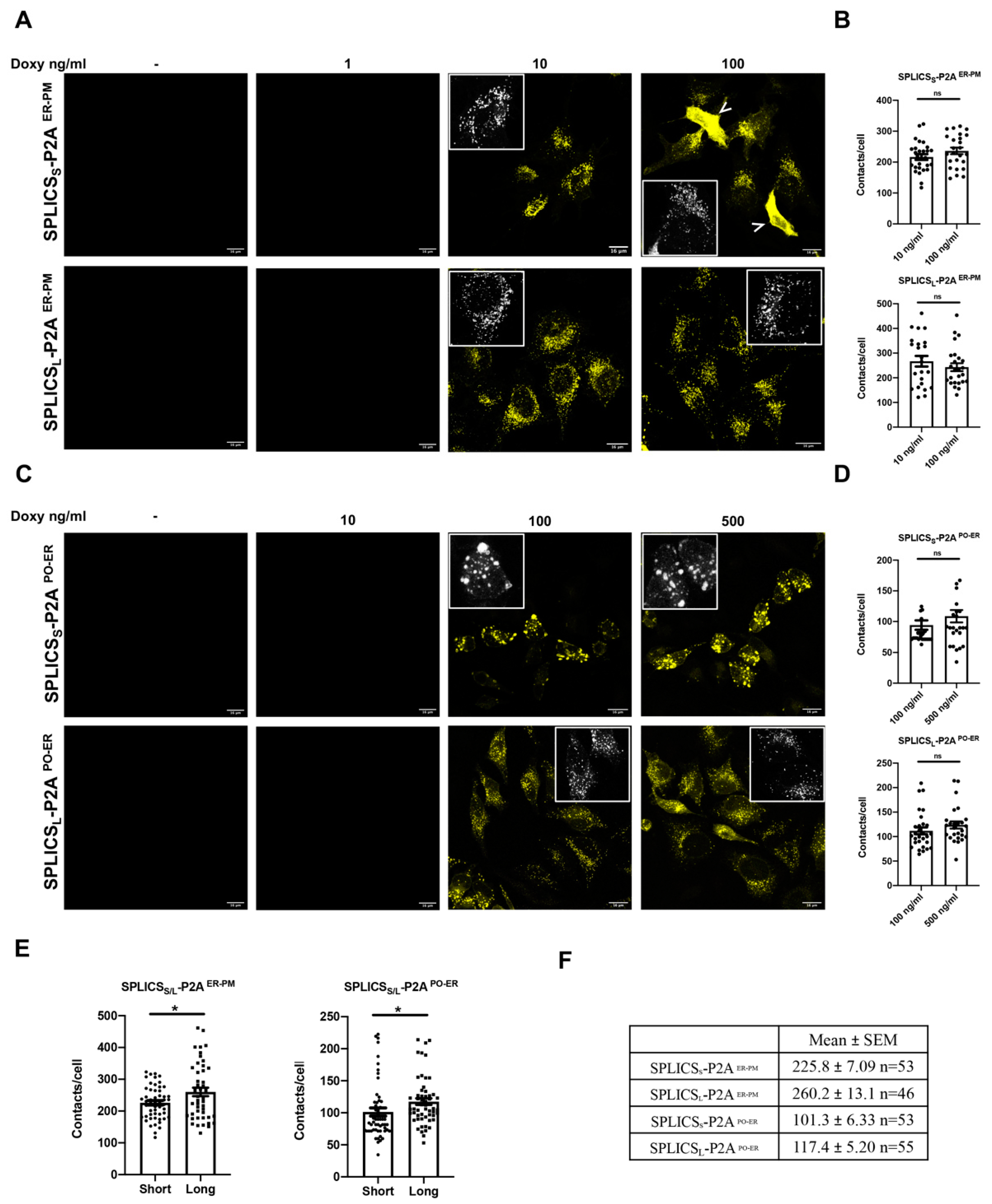 Cells 11 01643 g003 550