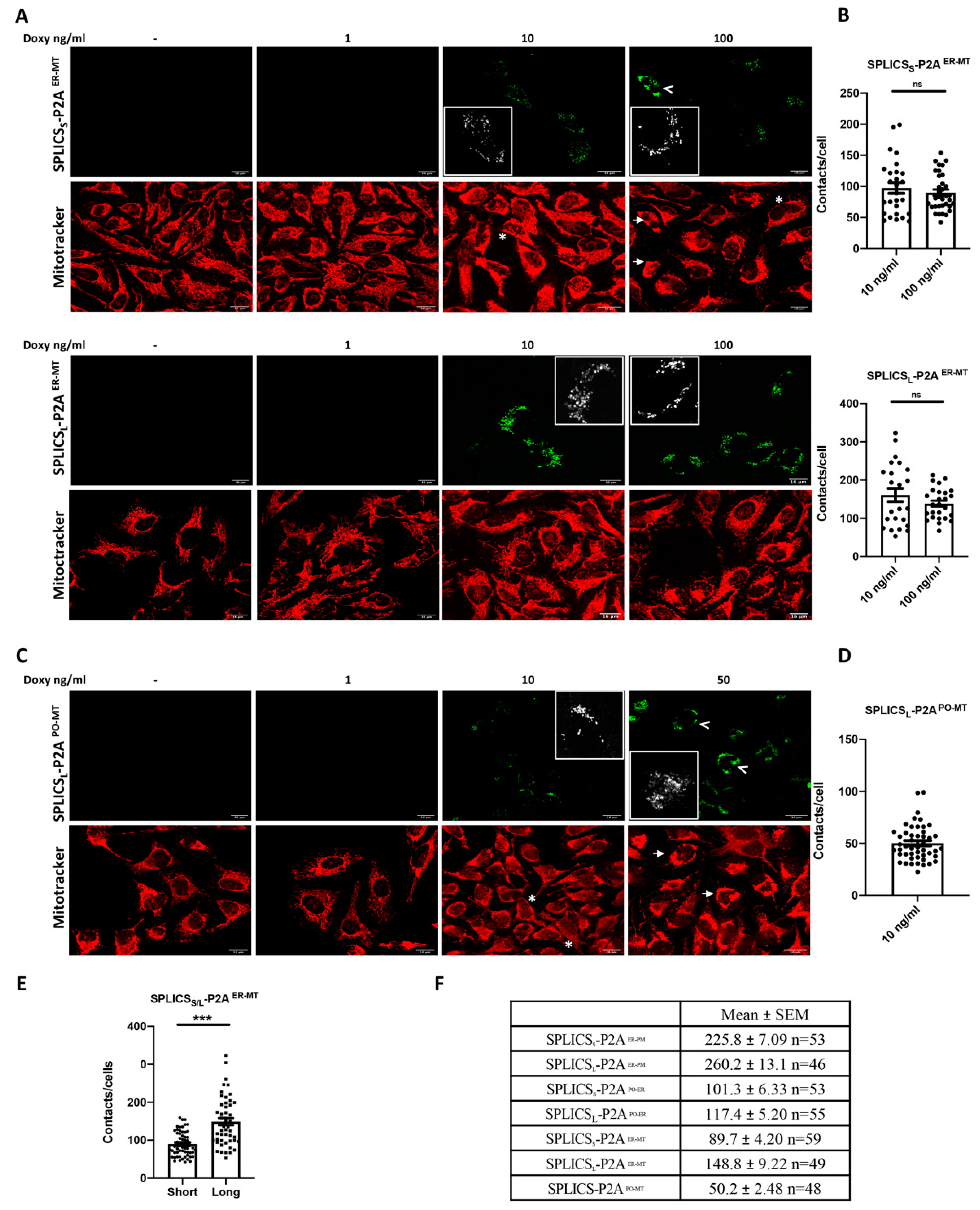 Cells 11 01643 g004 550