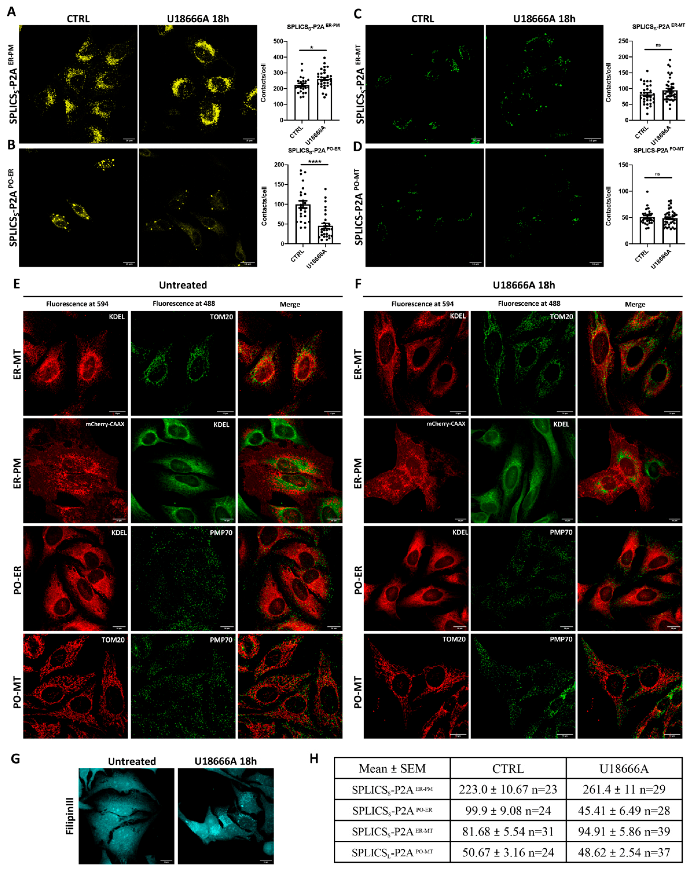 Cells 11 01643 g005 550