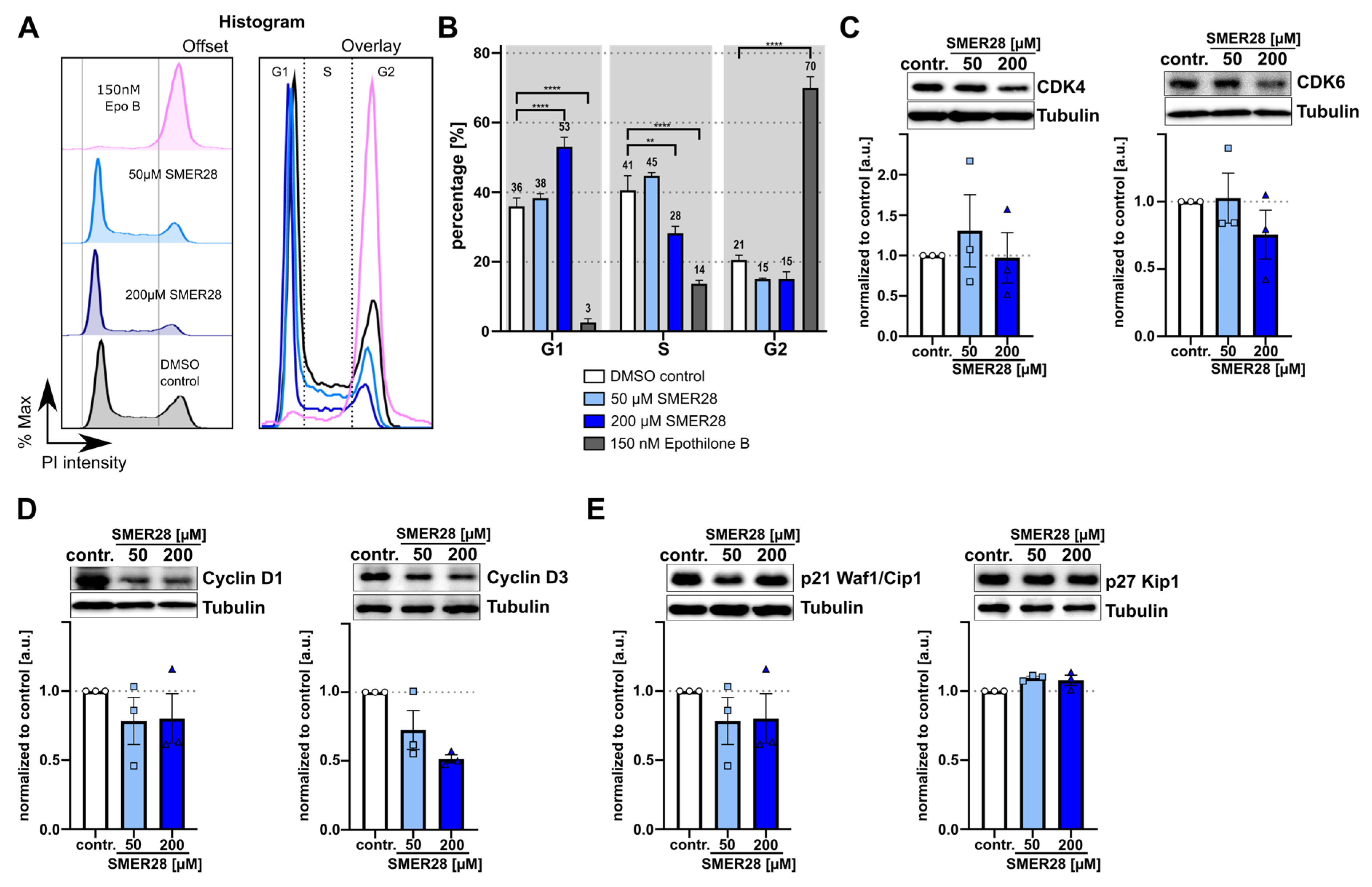 Cells 11 01648 g003 550