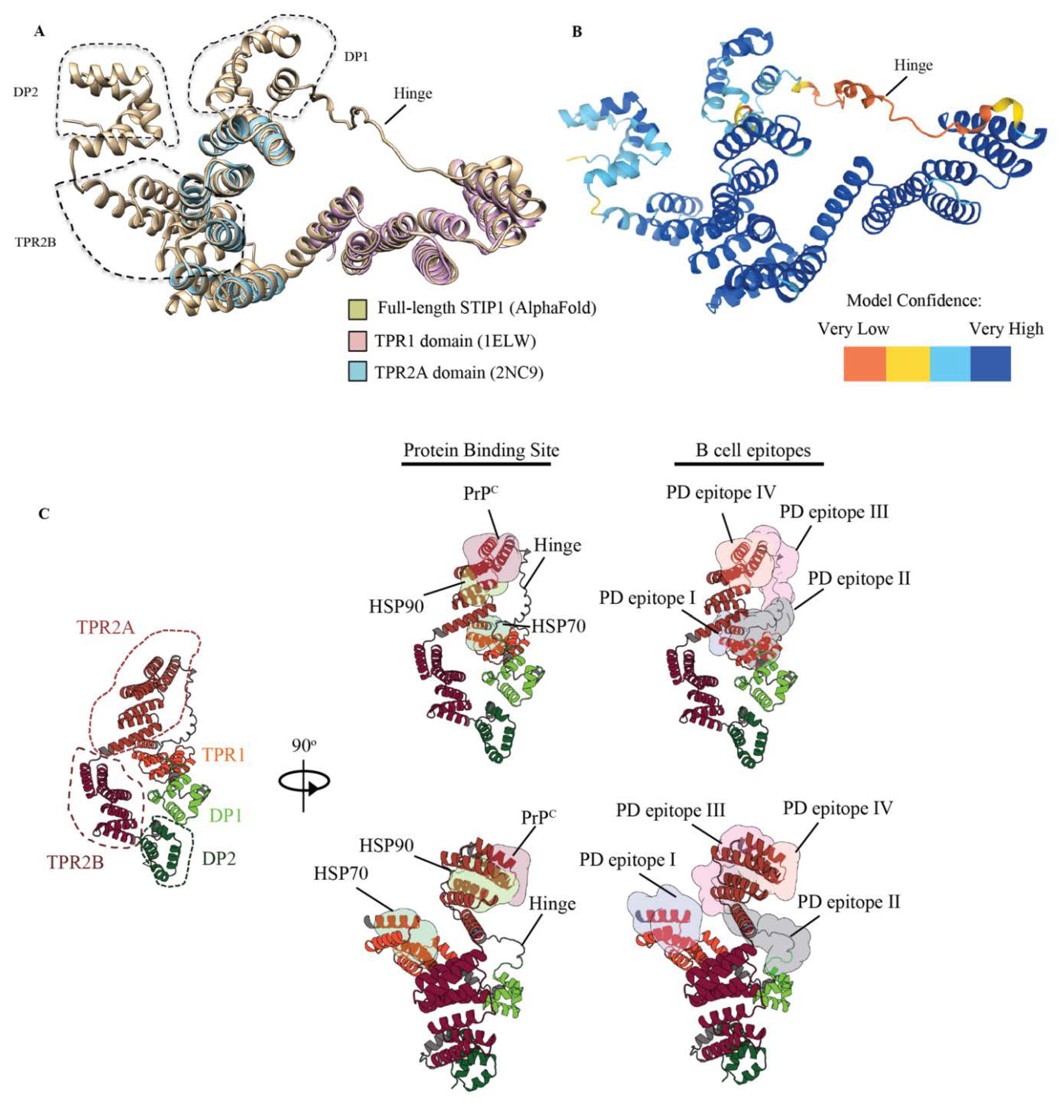 Cells 11 01649 g005 Cells 11 01649 g005