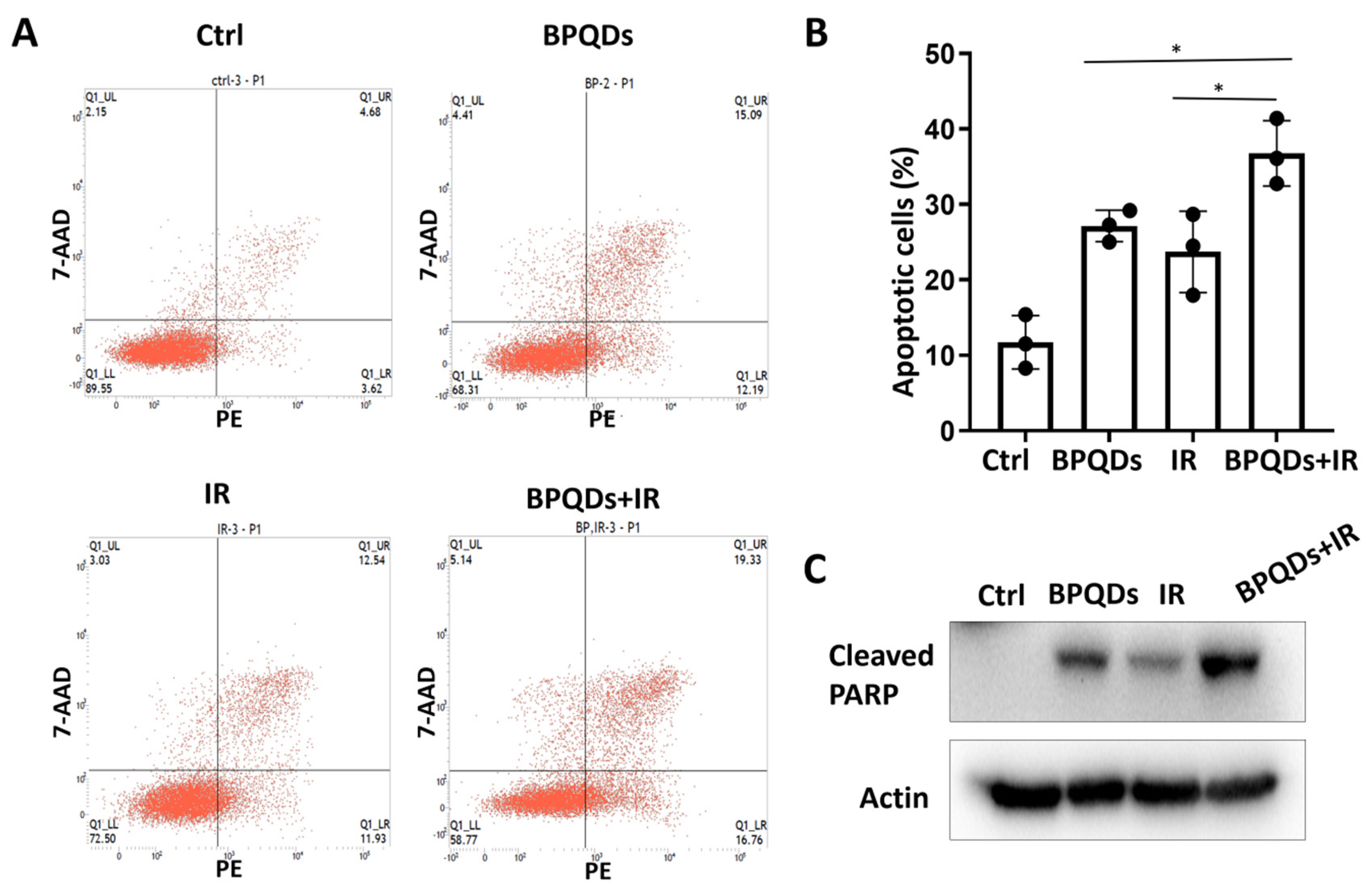 Cells 11 01651 g001 550