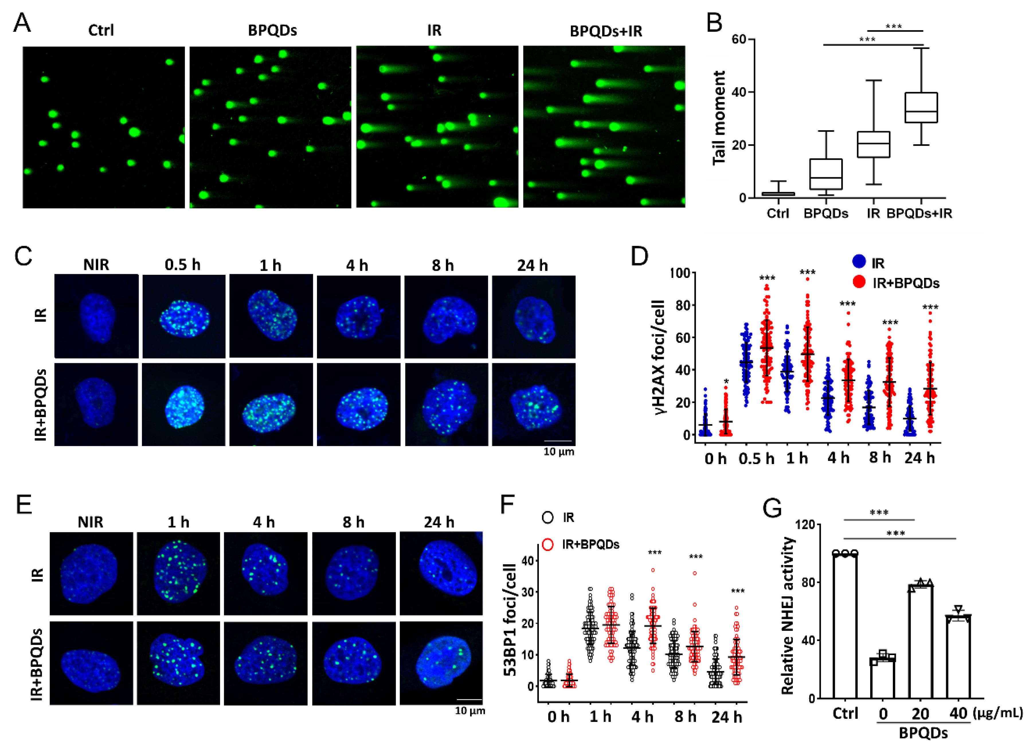 Cells 11 01651 g002 550