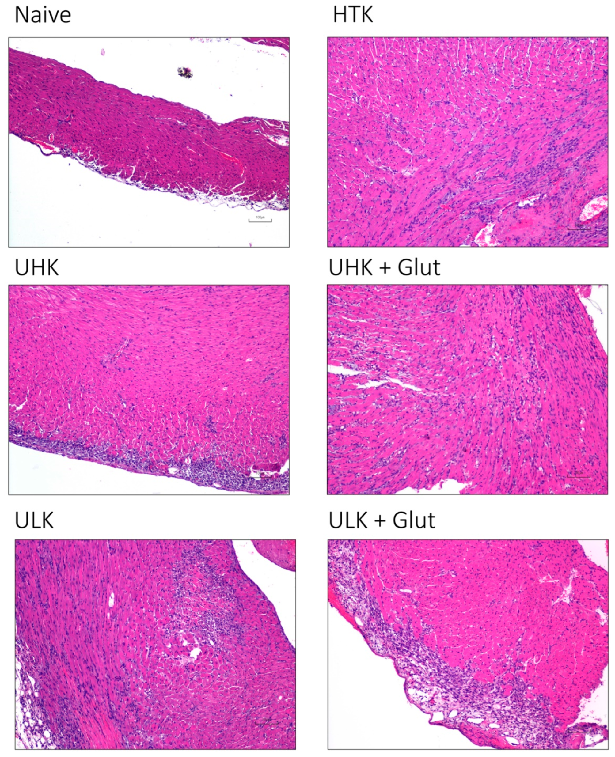 Cells 11 01653 g004 Cells 11 01653 g004