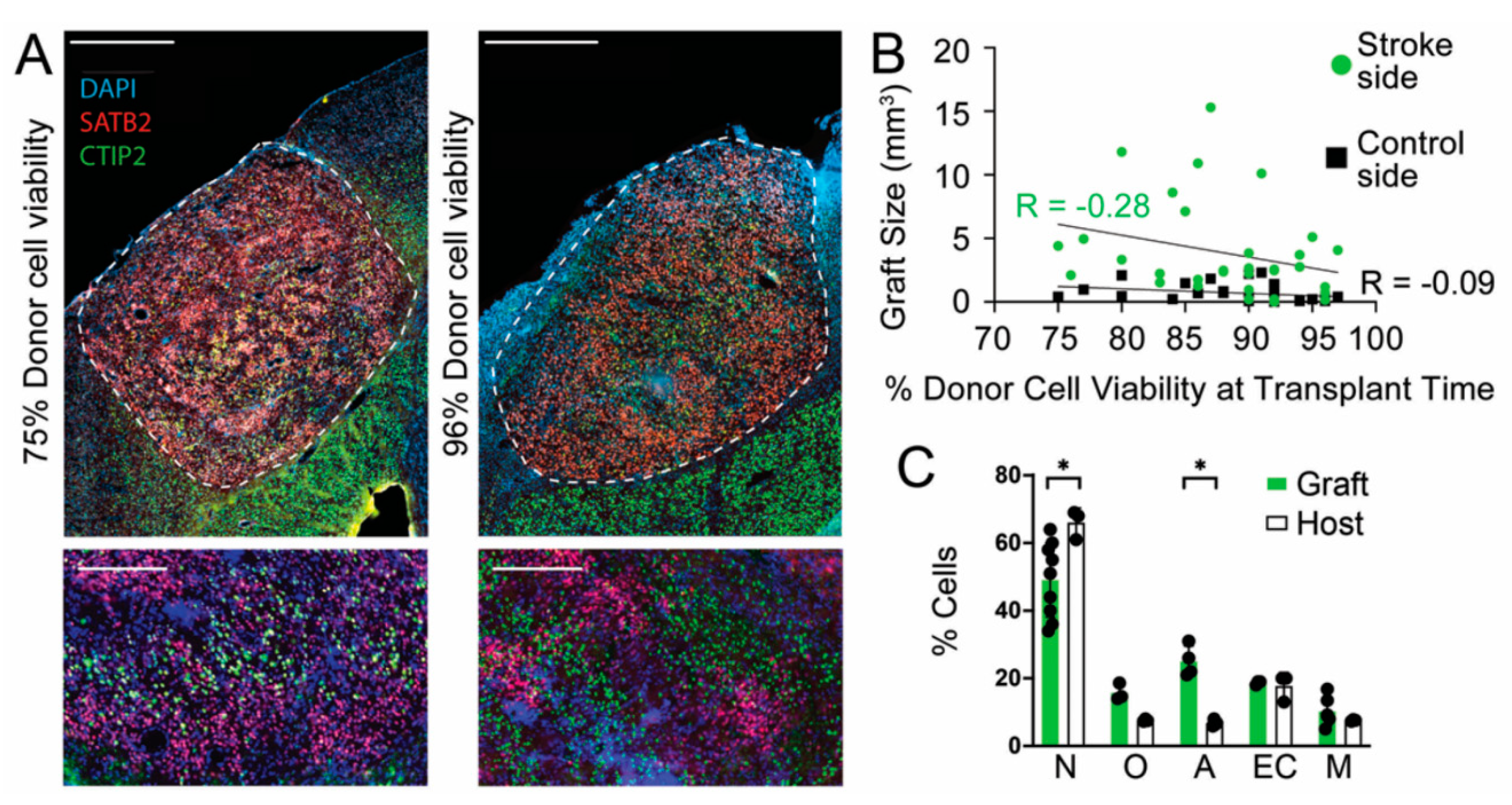 Cells 11 01656 g002 550