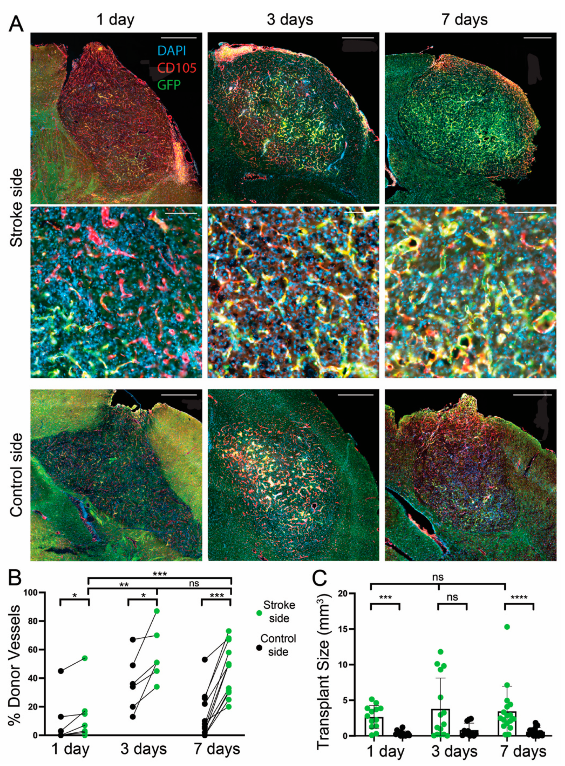 Cells 11 01656 g003 550