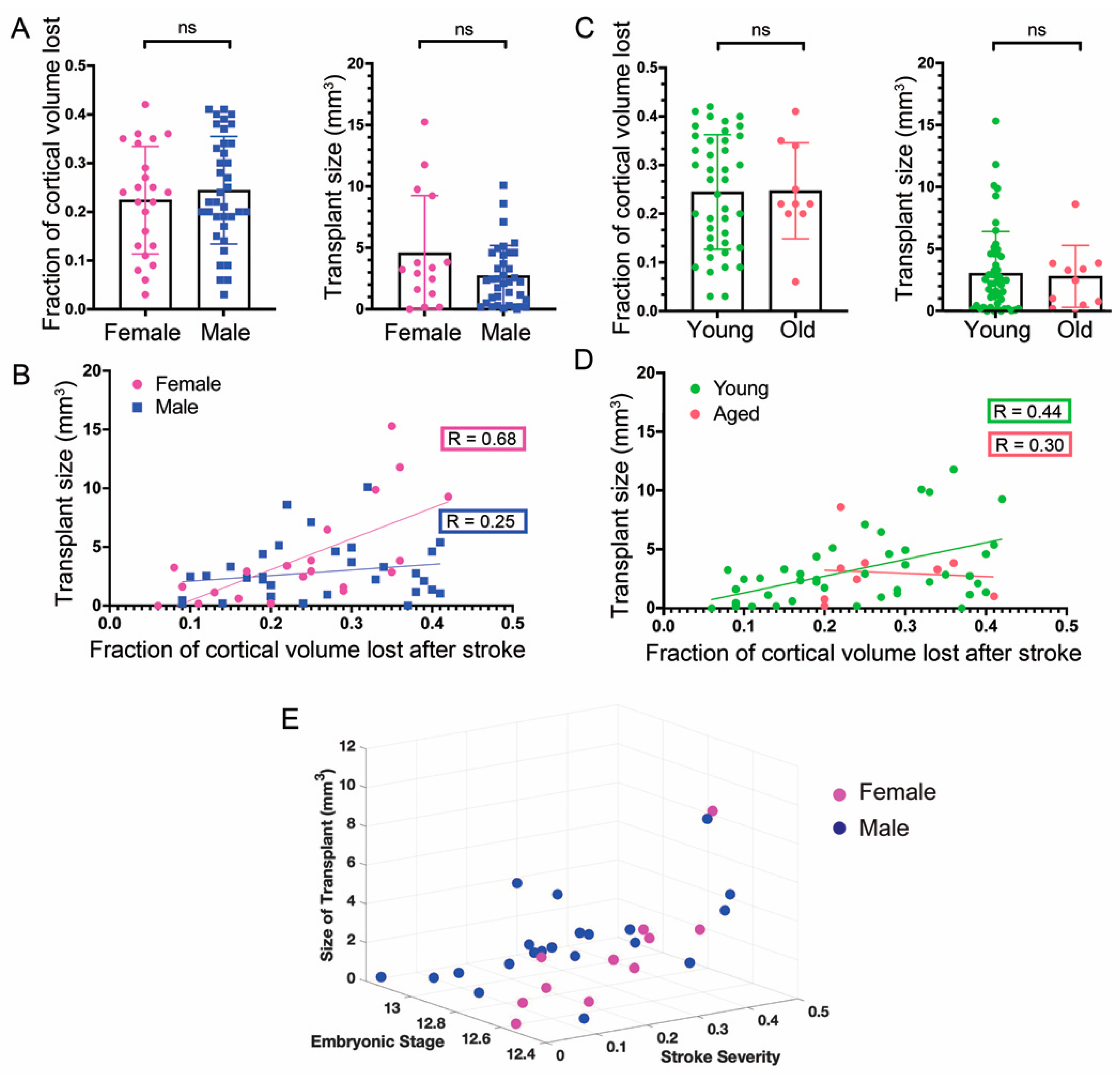 Cells 11 01656 g004 550