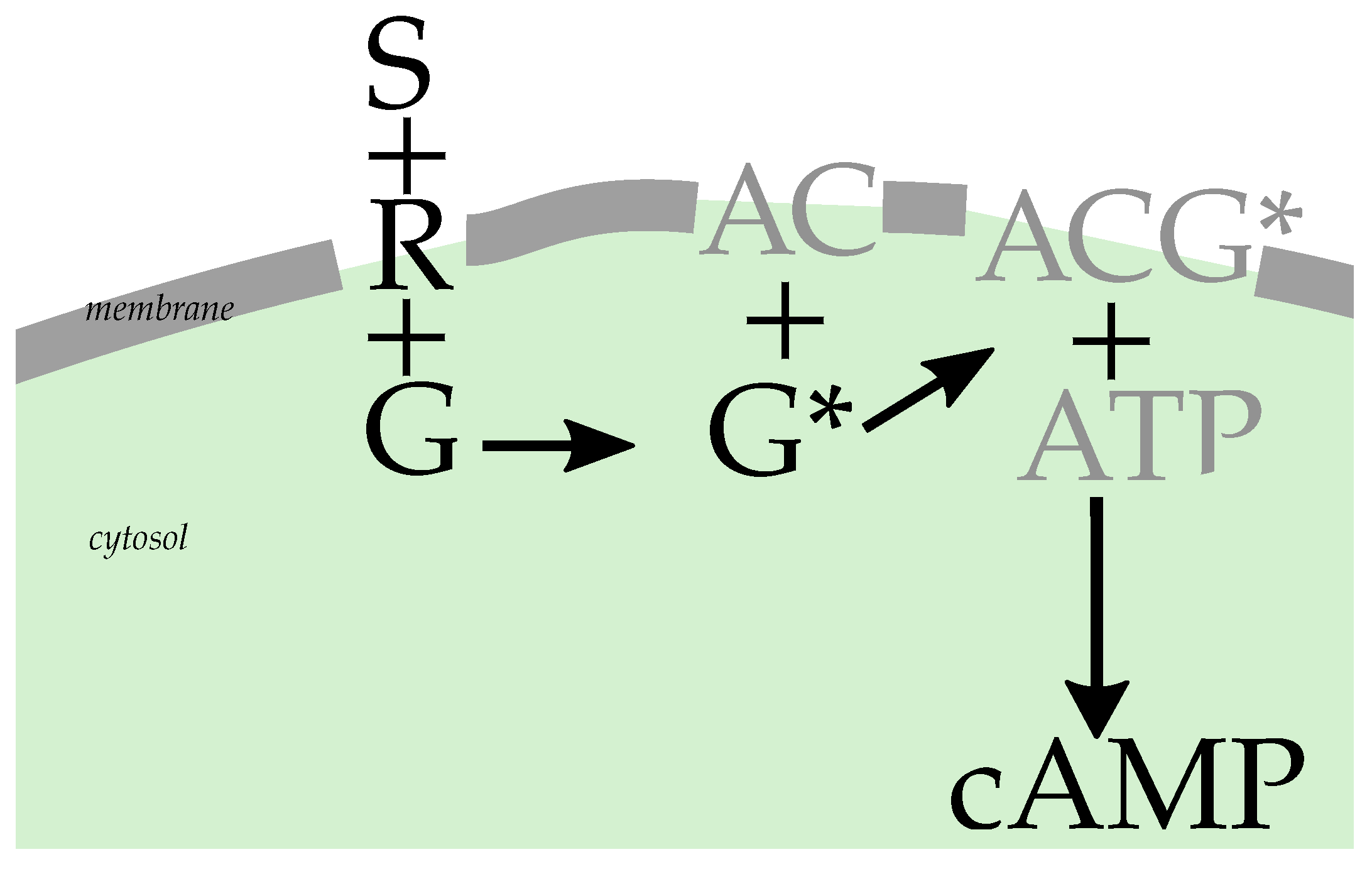 Cells 11 01660 g001 Cells 11 01660 g001