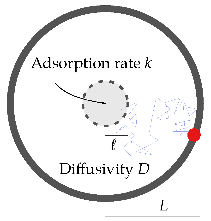 Cells 11 01660 g002 Cells 11 01660 g002