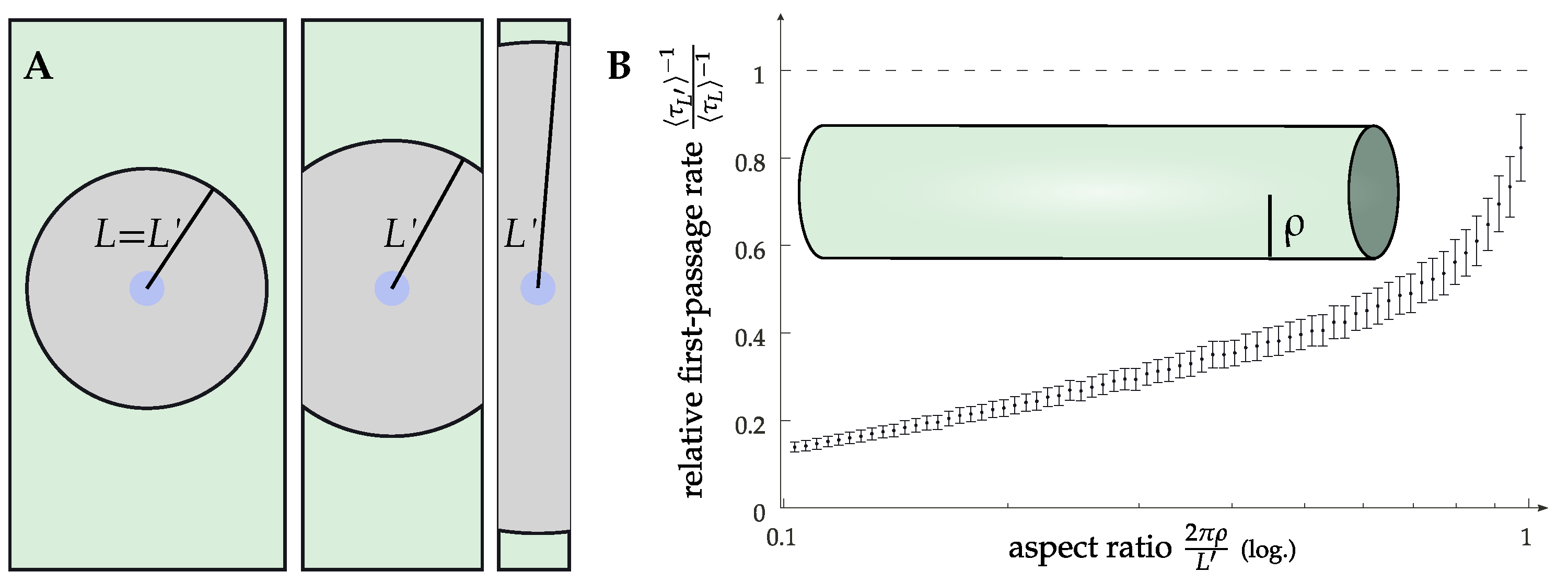 Cells 11 01660 g005 Cells 11 01660 g005