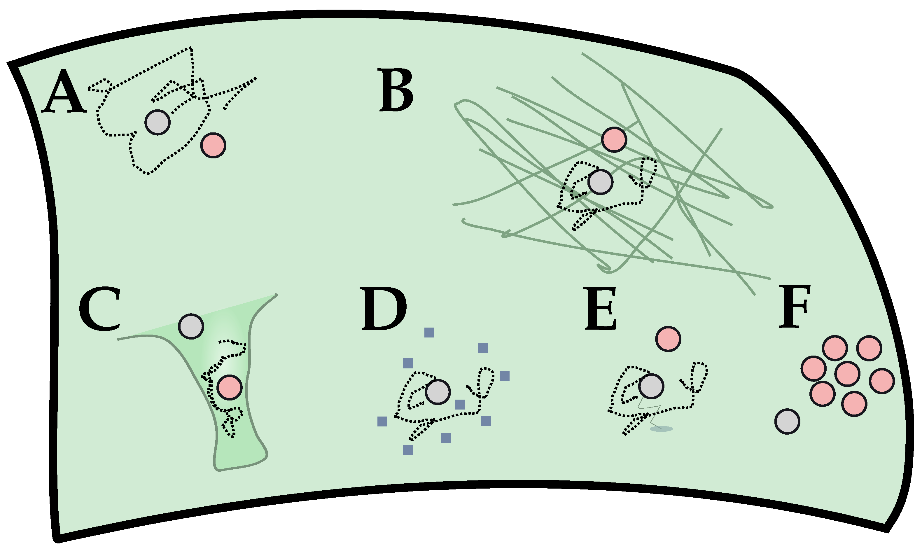 Cells 11 01660 g008 Cells 11 01660 g008