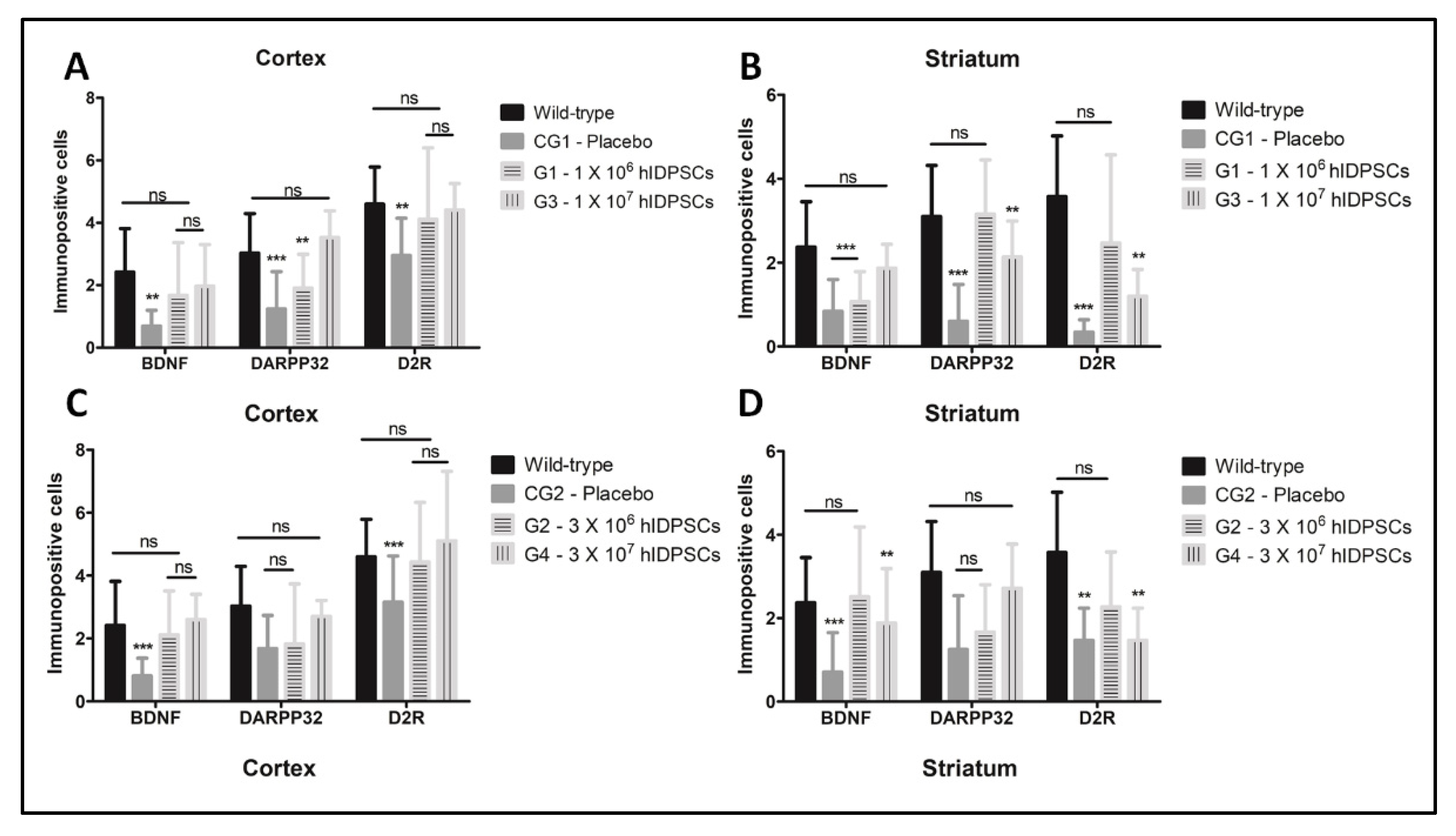 Cells 11 01664 g008 550