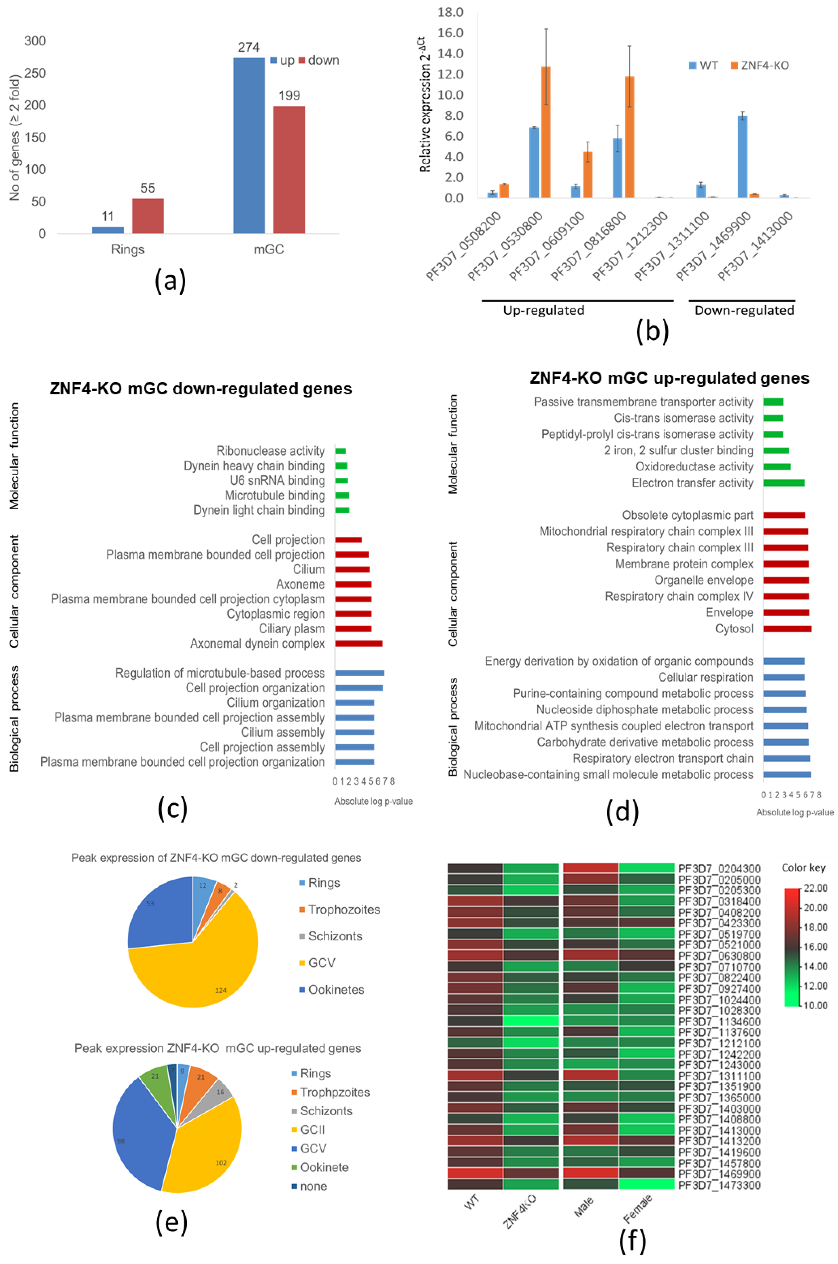 Cells 11 01666 g004 Cells 11 01666 g004