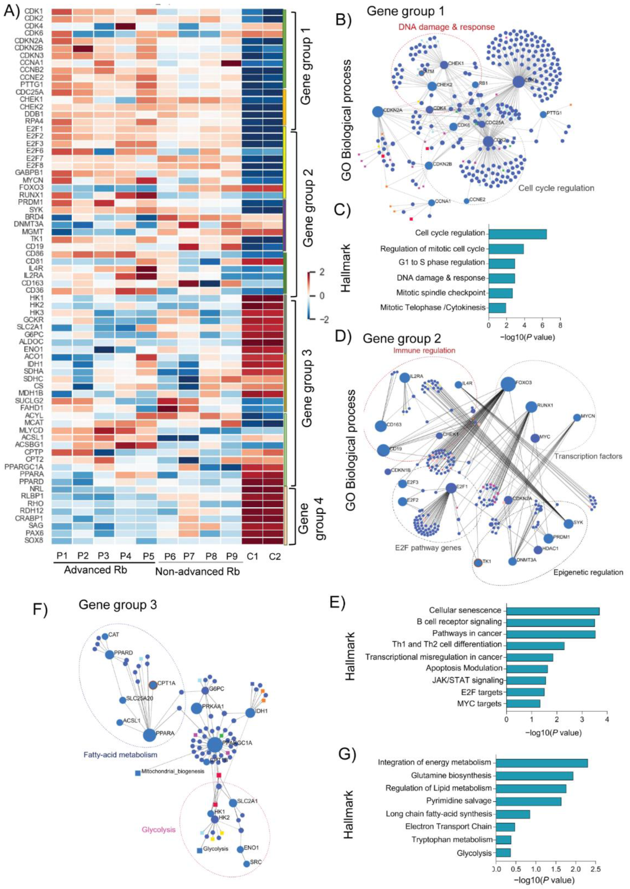 Cells 11 01668 g002 Cells 11 01668 g002